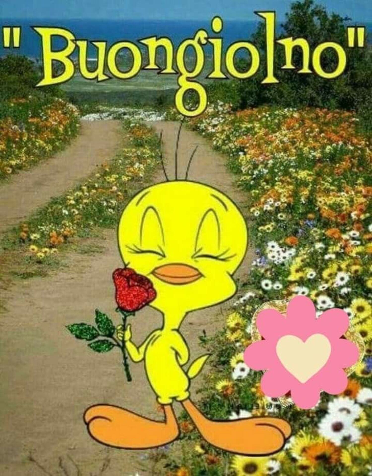 "Buongiolno"