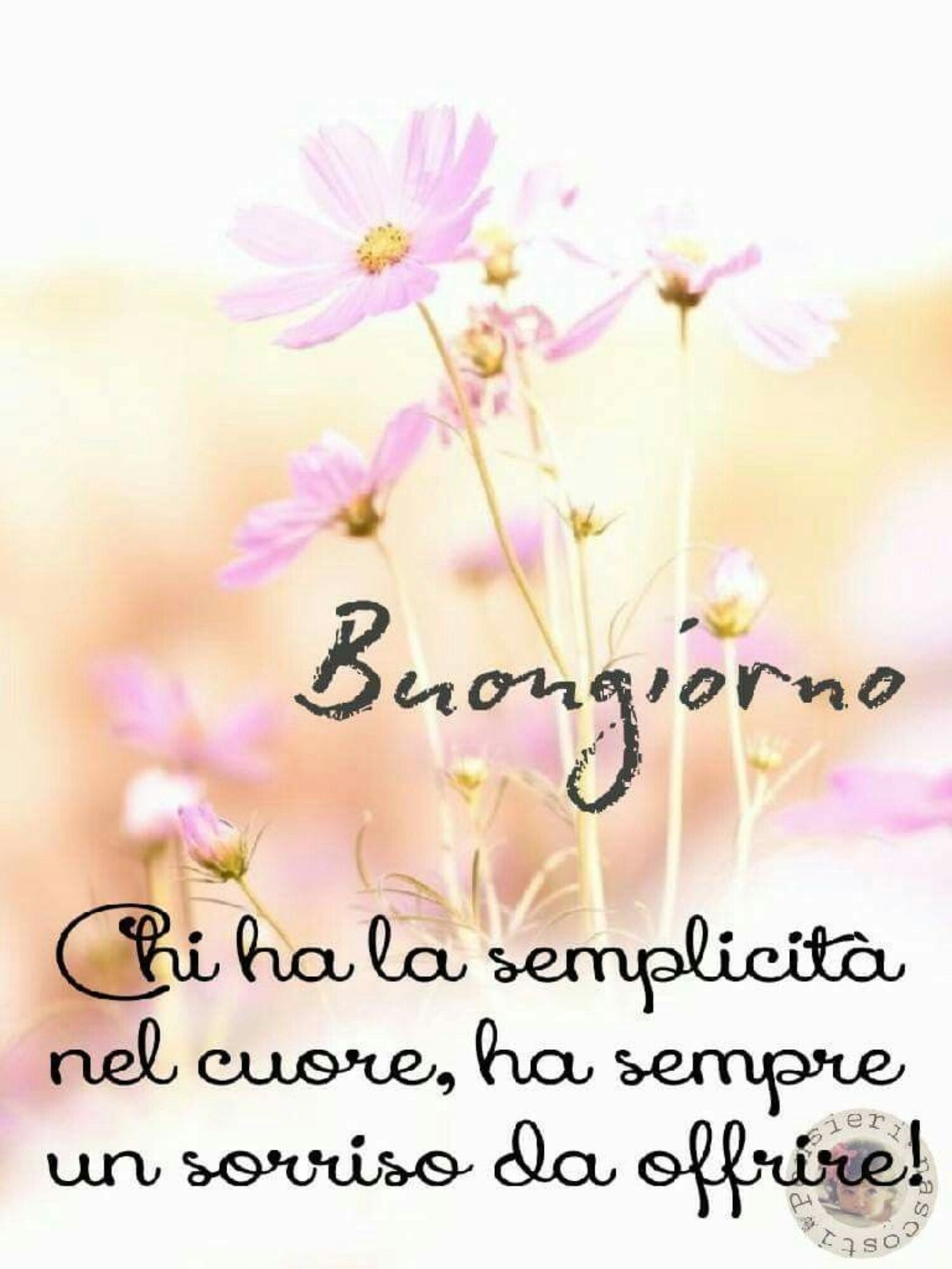 Buongiorno, chi ha la semplicità nel cuore, ha sempre un sorriso da offrire!