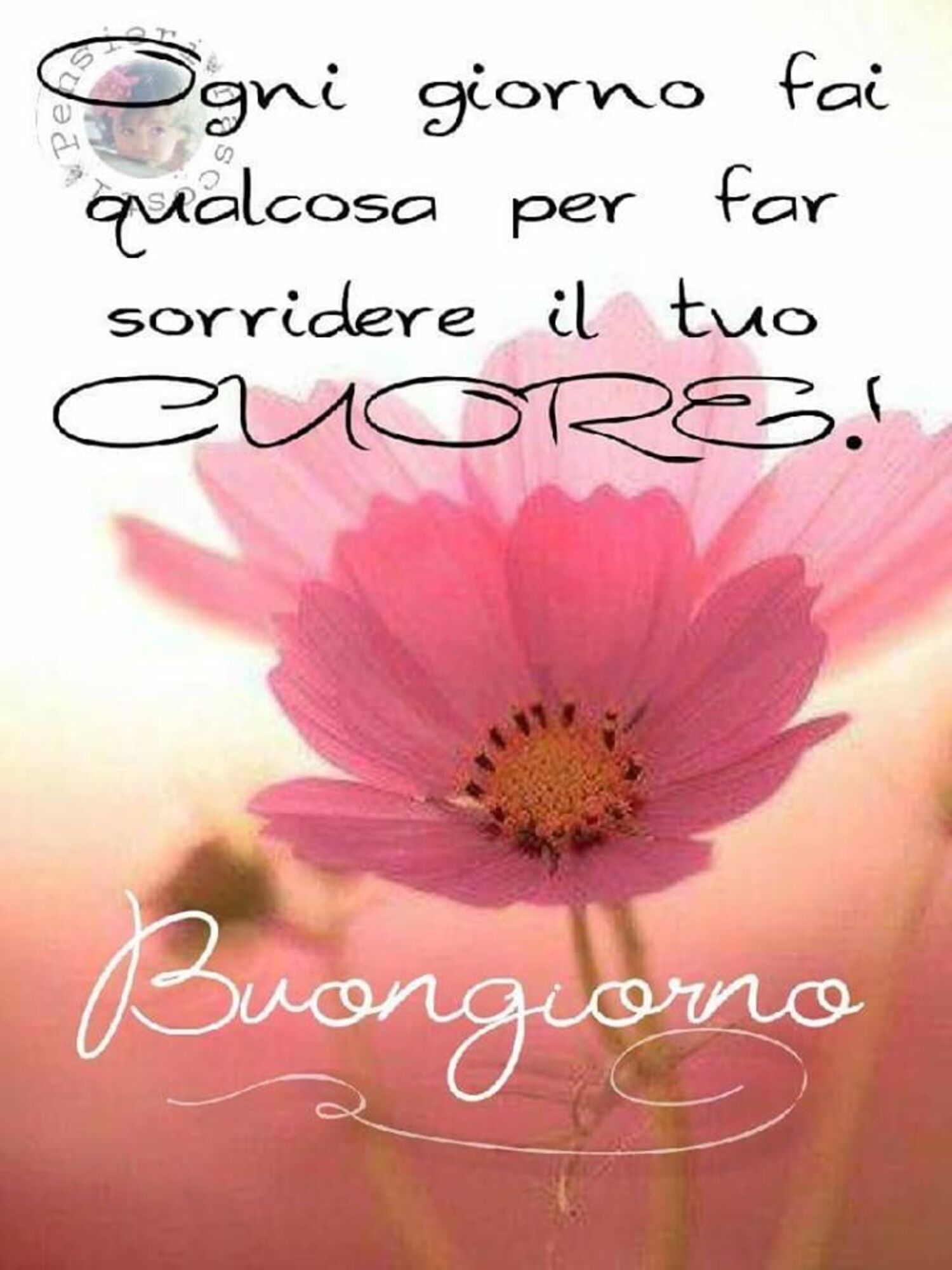 Ogni giorno fai qualcosa per far sorridere il tuo cuore! Buongiorno