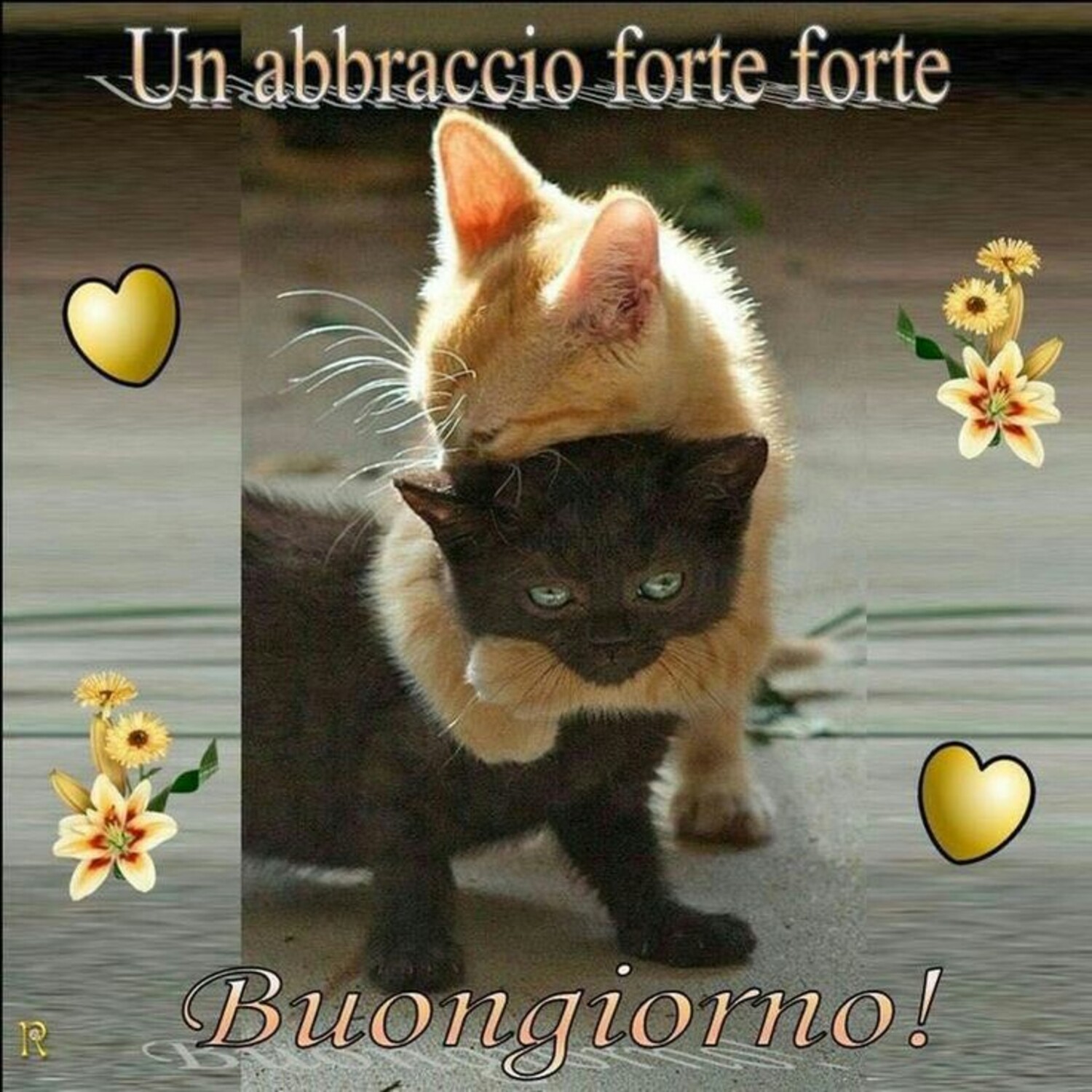 Un abbraccio forte forte Buongiorno!