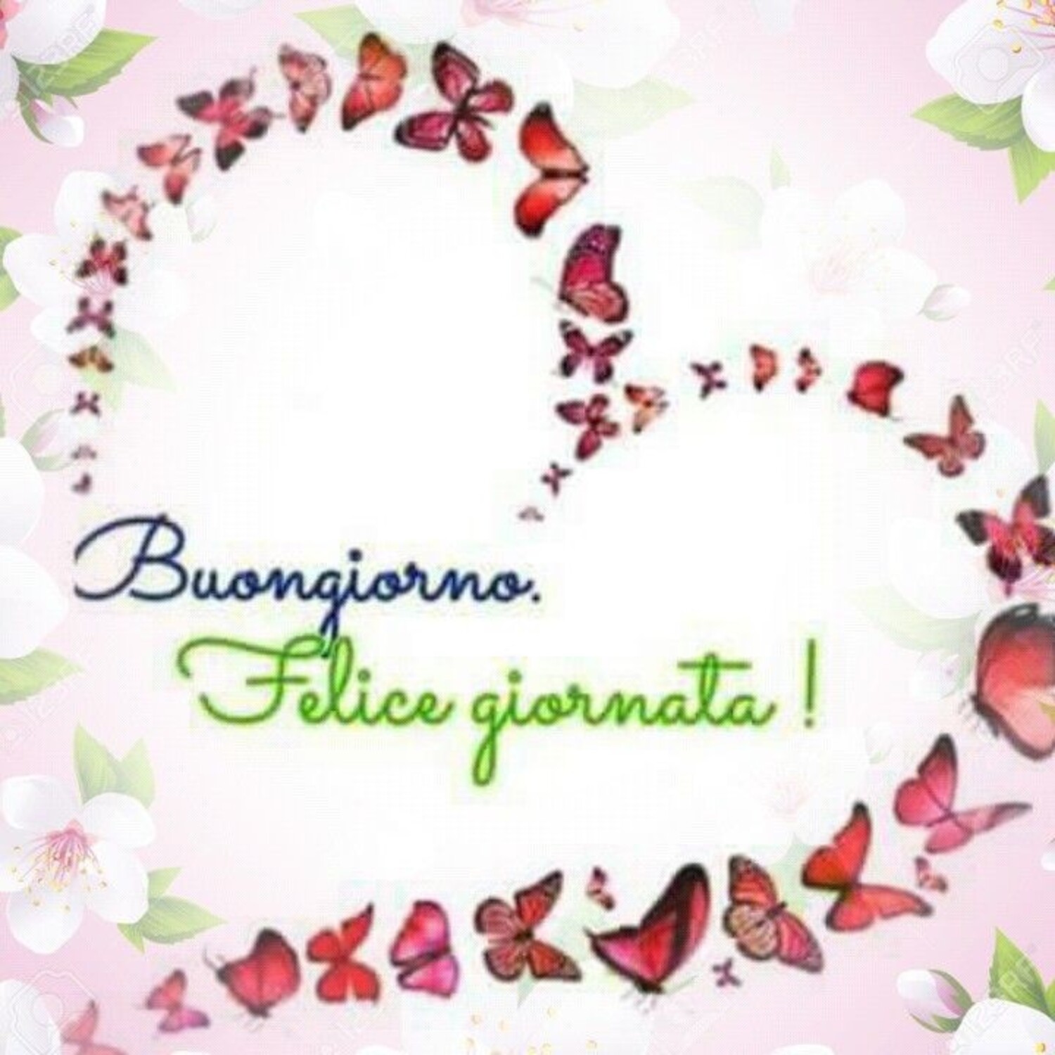 Buongiorno Felice Giornata!