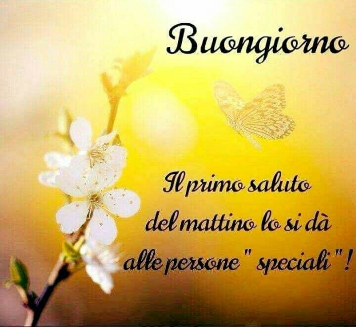 Buongiorno, il primo saluto al mattino lo si dà alle persone "speciali" !