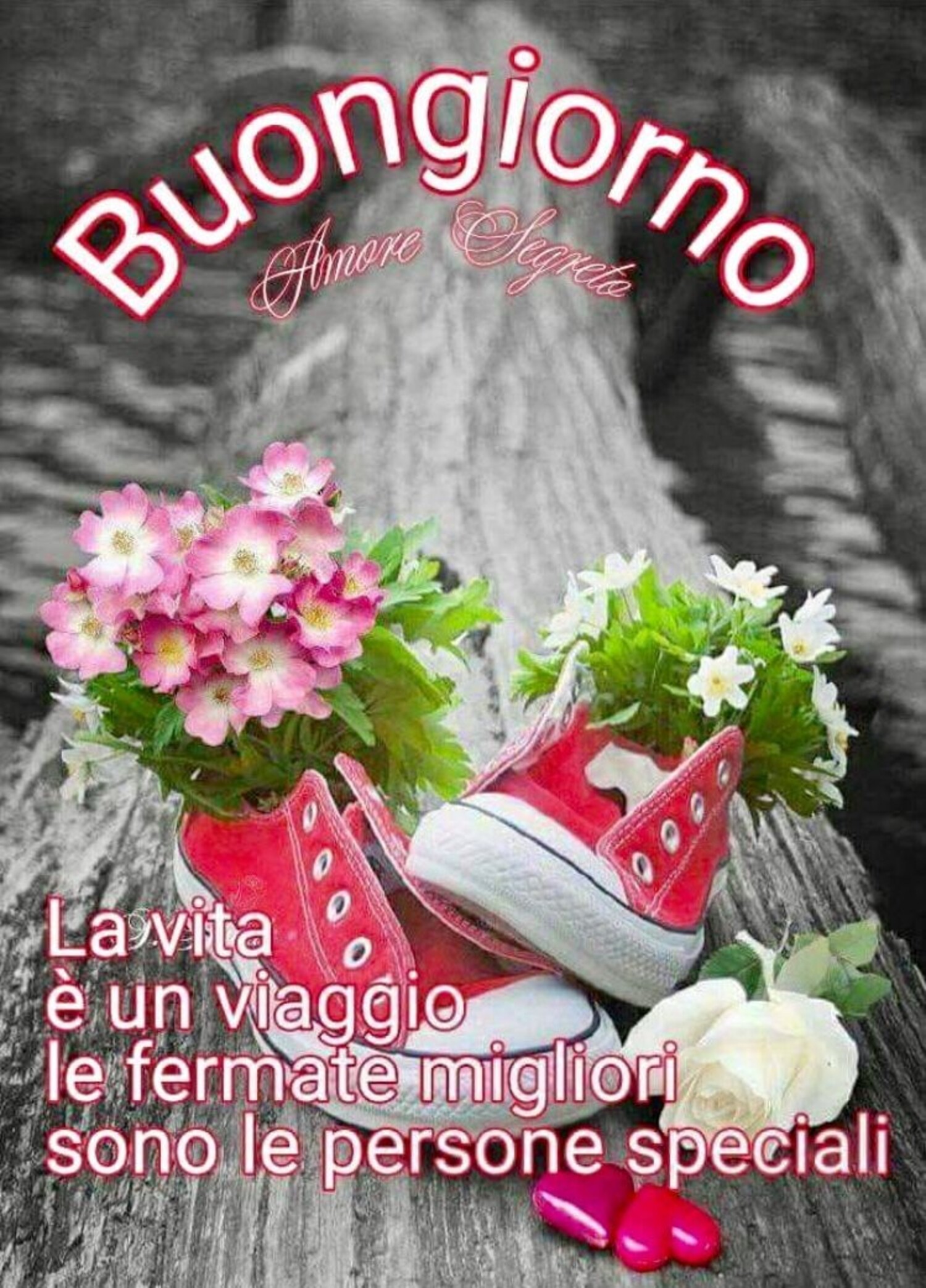 Buongiorno la vita è un viaggio, le fermate migliori sono le persone speciali