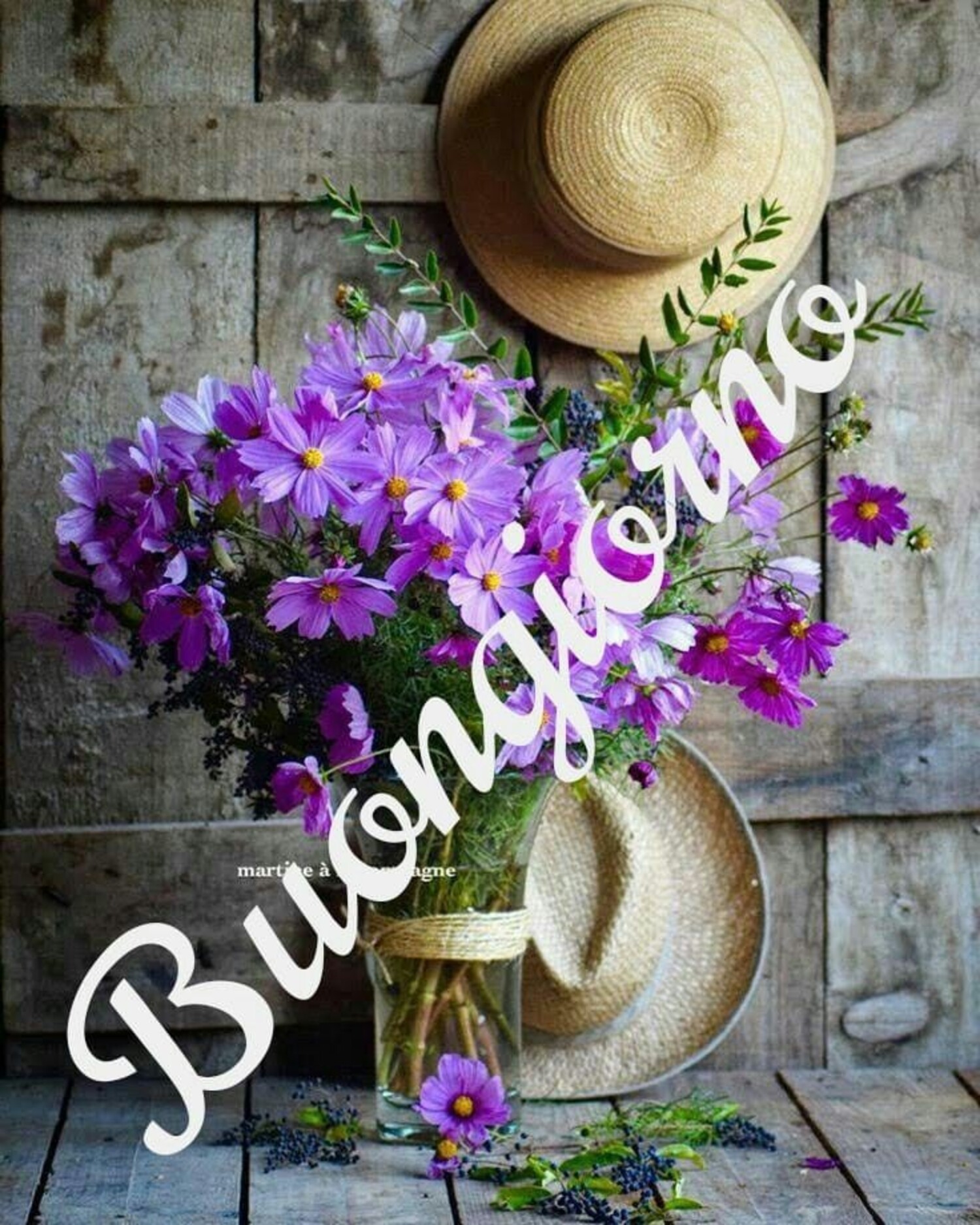Buongiorno primavera
