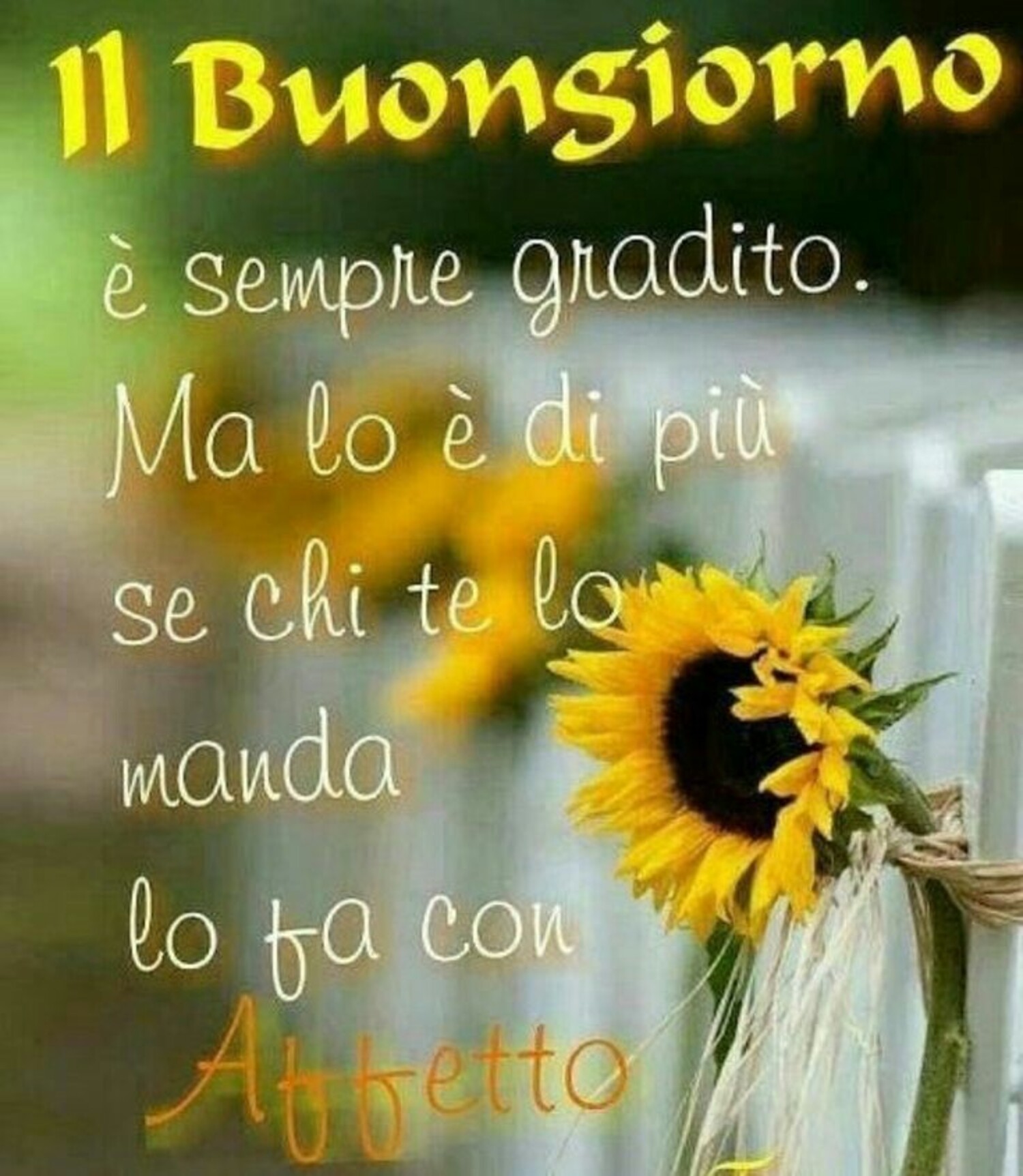 Il Buongiorno è sempre gradito, ma lo è di più se chi te lo manda lo fa con affetto