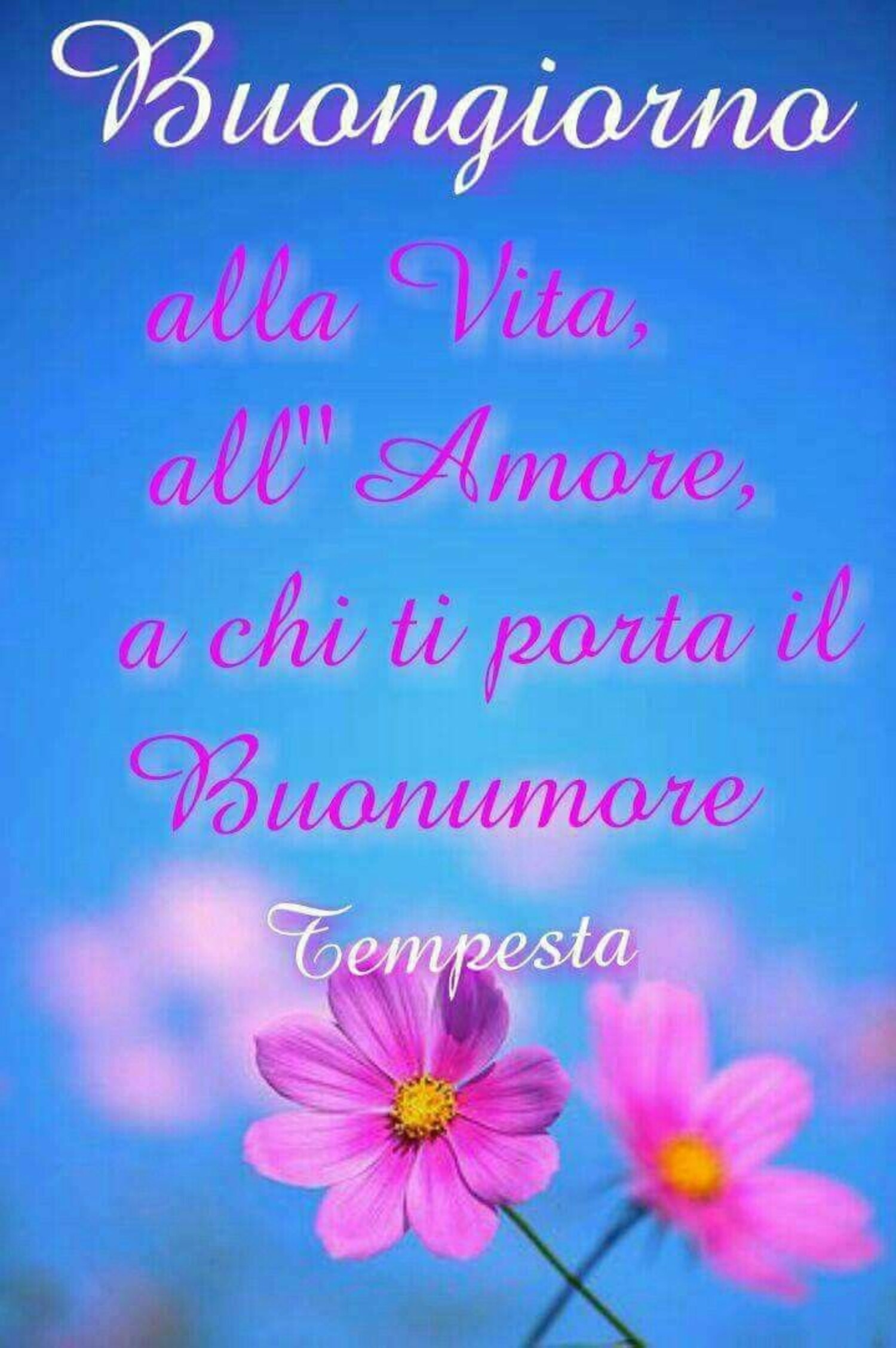 Buongiorno alla vita, all'Amore, a chi ti porta il buonumore