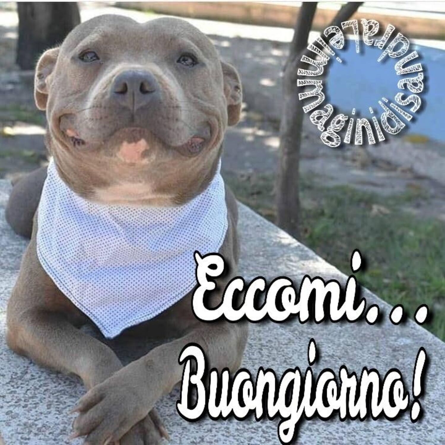 Eccomi... Buongiorno!