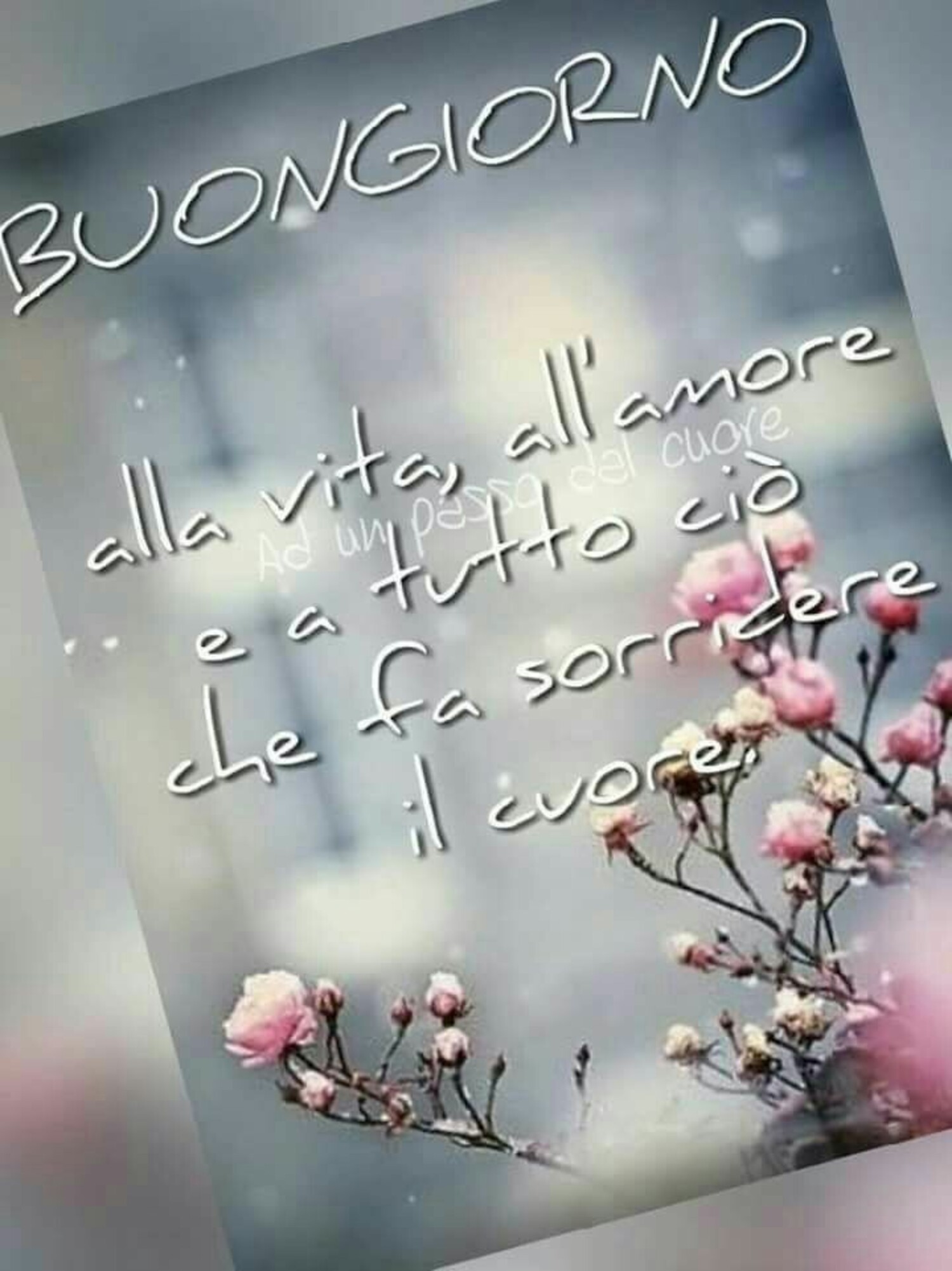 Buongiorno alla vita, all'amore e a tutto ciò che fa sorridere il cuore