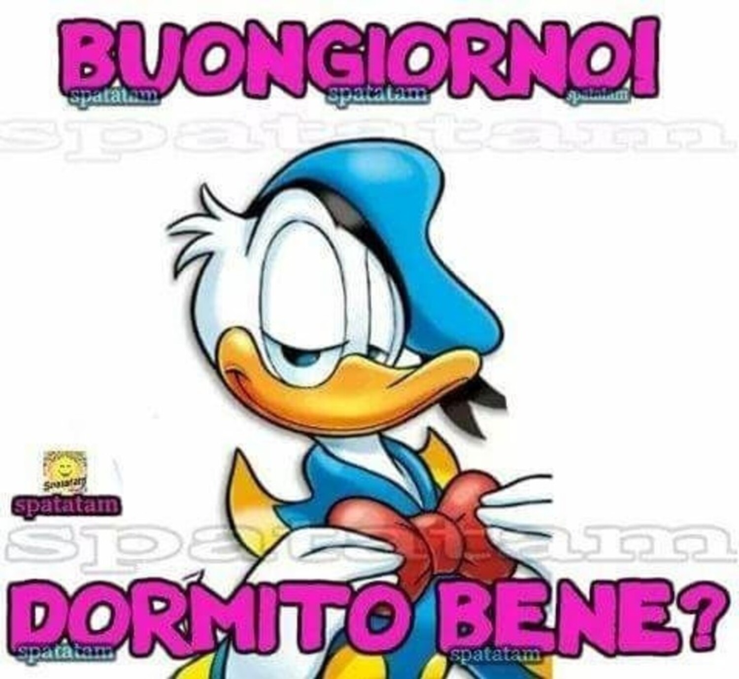 Buongiorno ! Dormito bene ? da Paperino