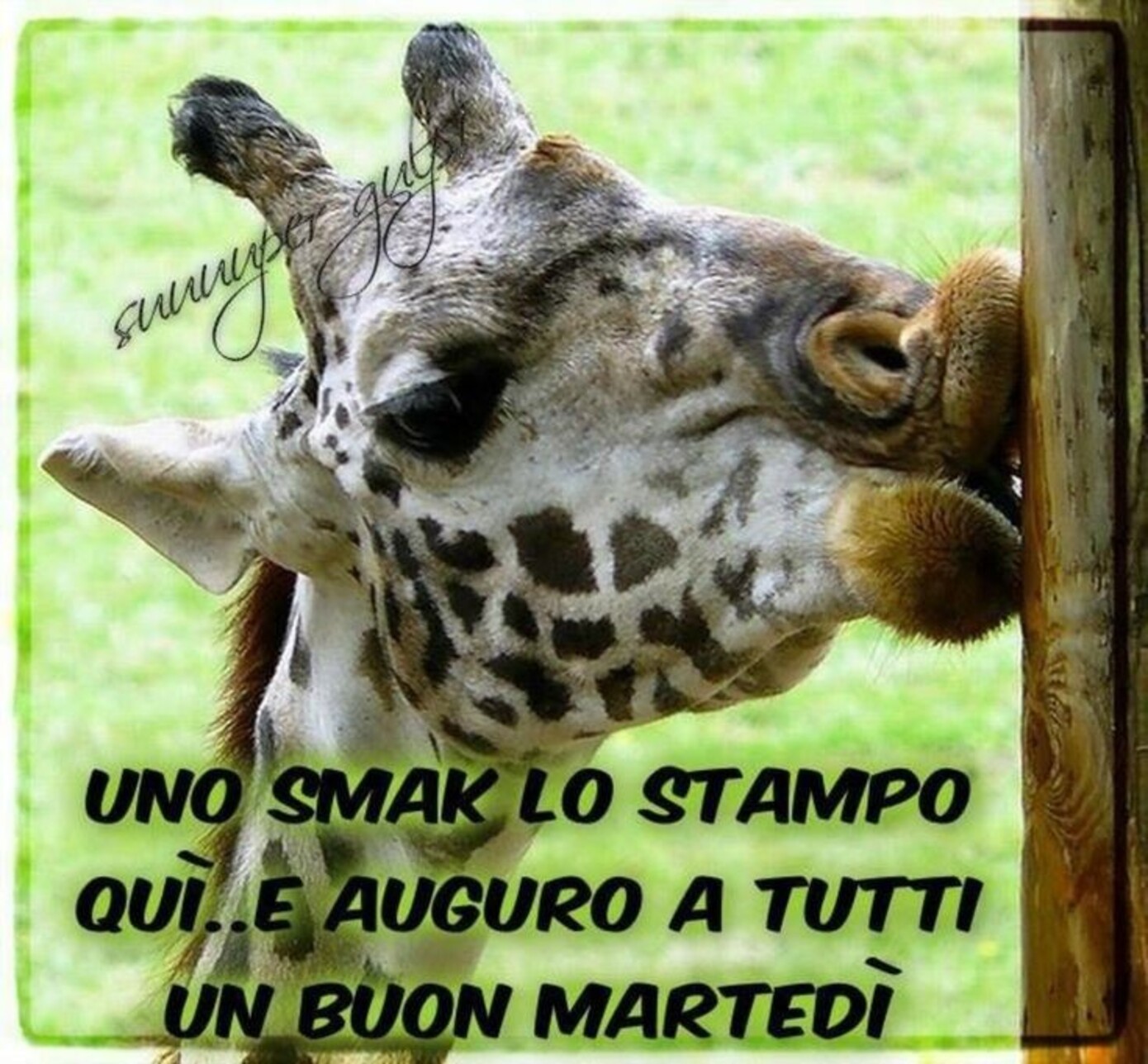 Uno "Smack" lo stampo qui, e auguro a tutti un Buon Martedì