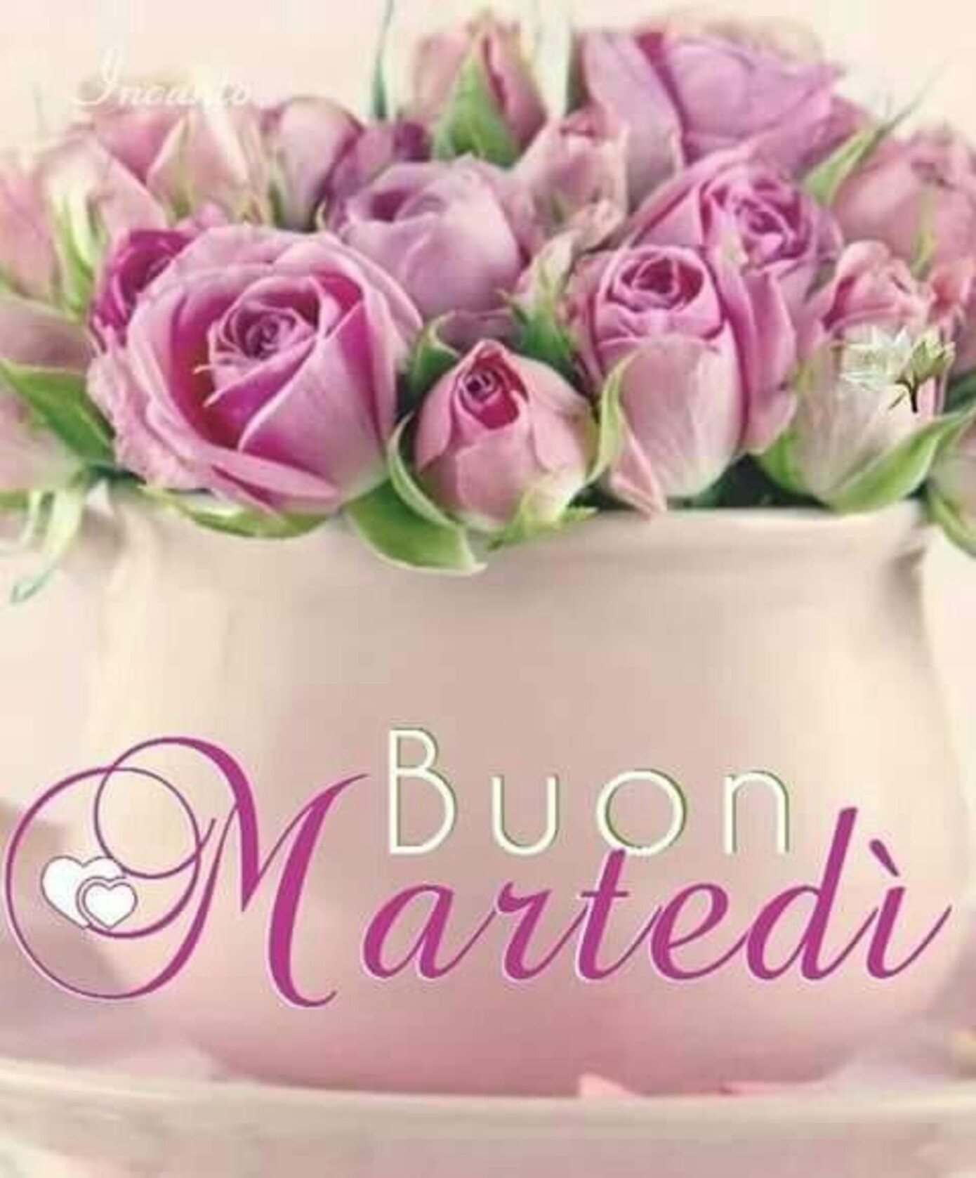 Buon Martedì