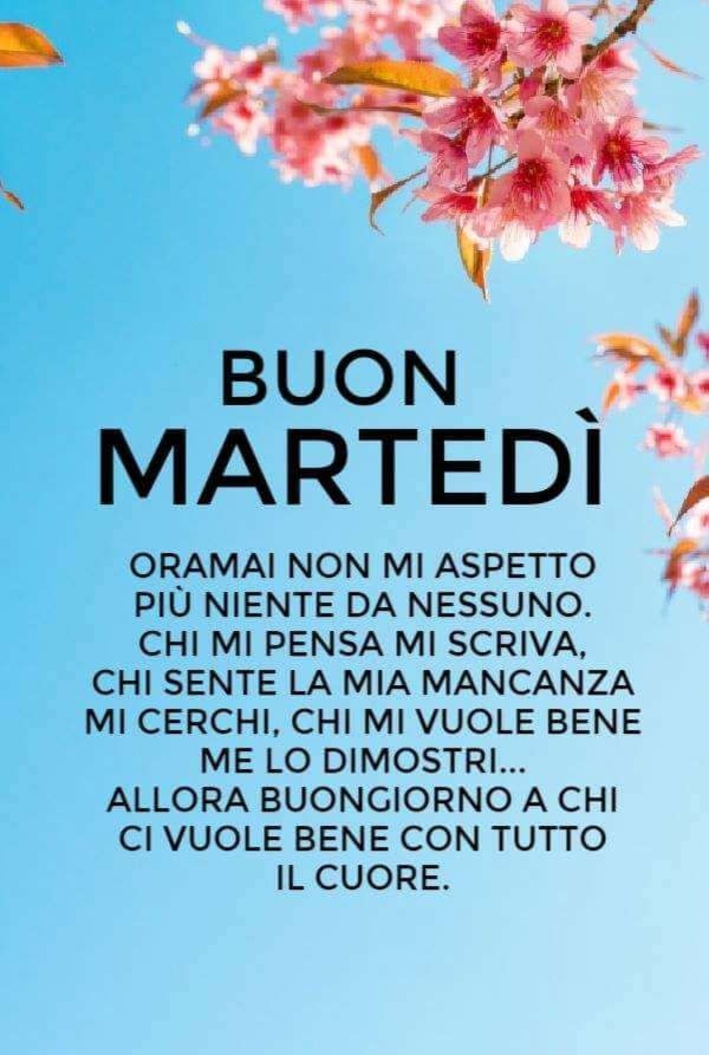 "Buon Martedì Ormai non mi aspetto più niente da nessuno....."