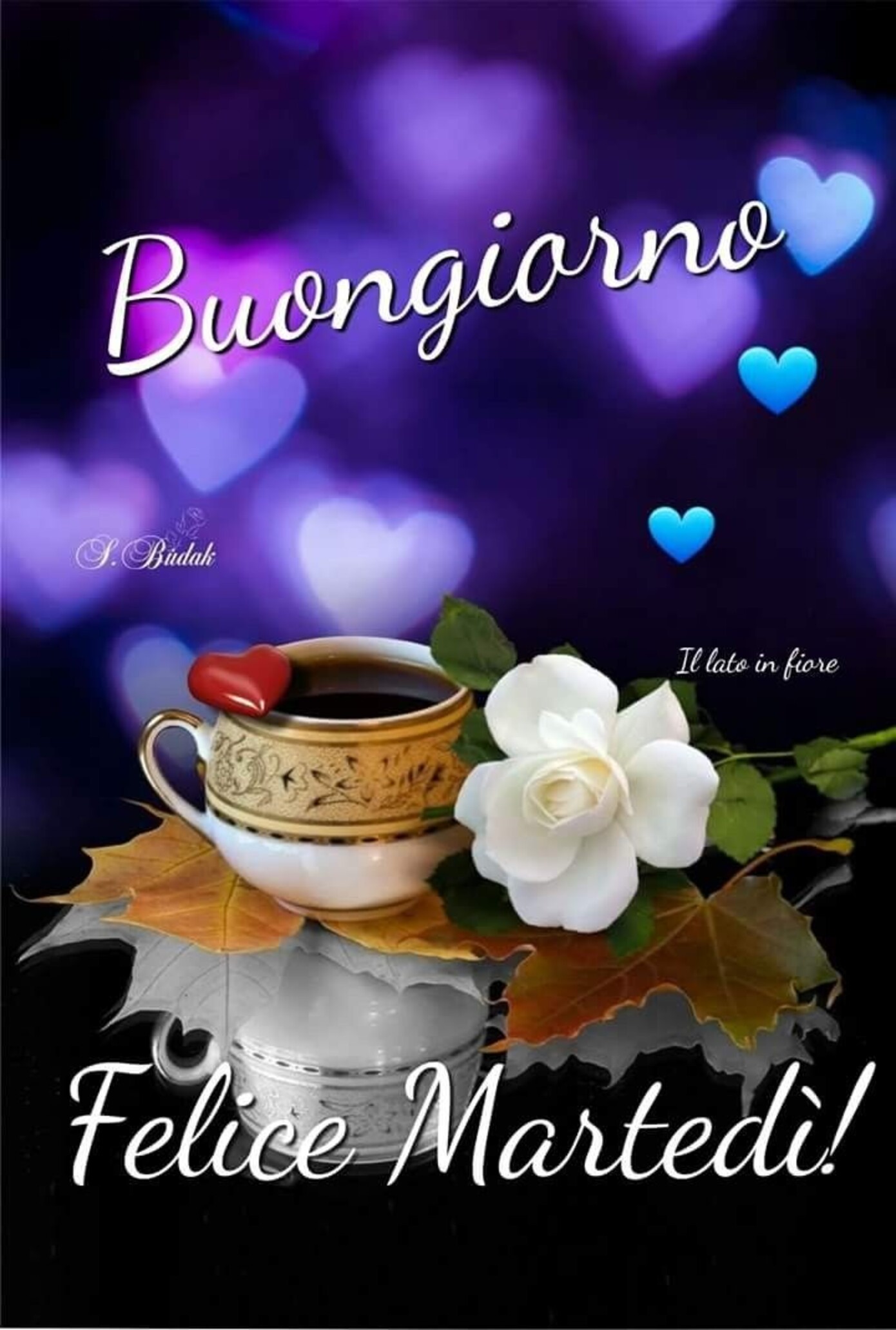 Buongiorno Felice Martedì!