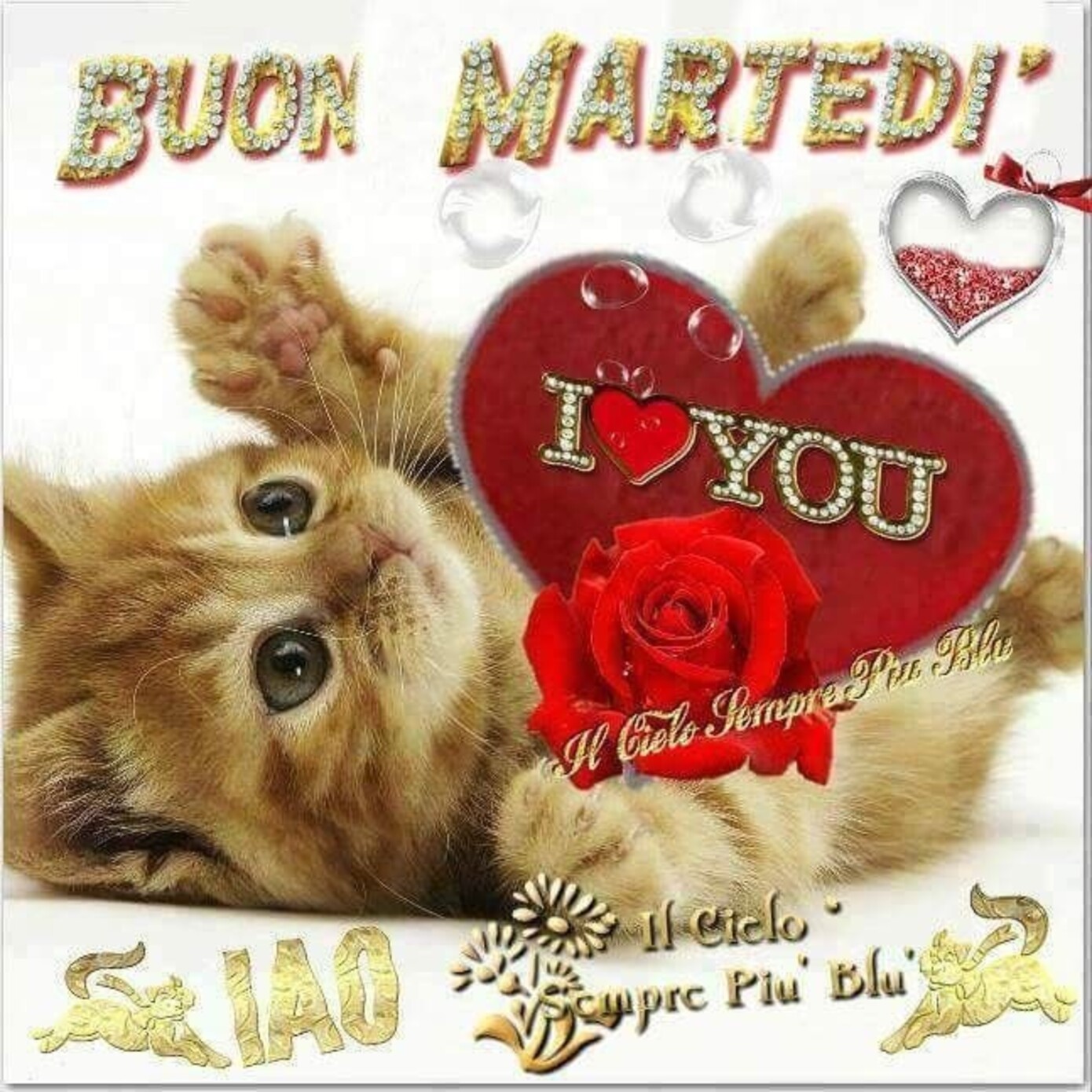 Buon Martedì Ti Amo