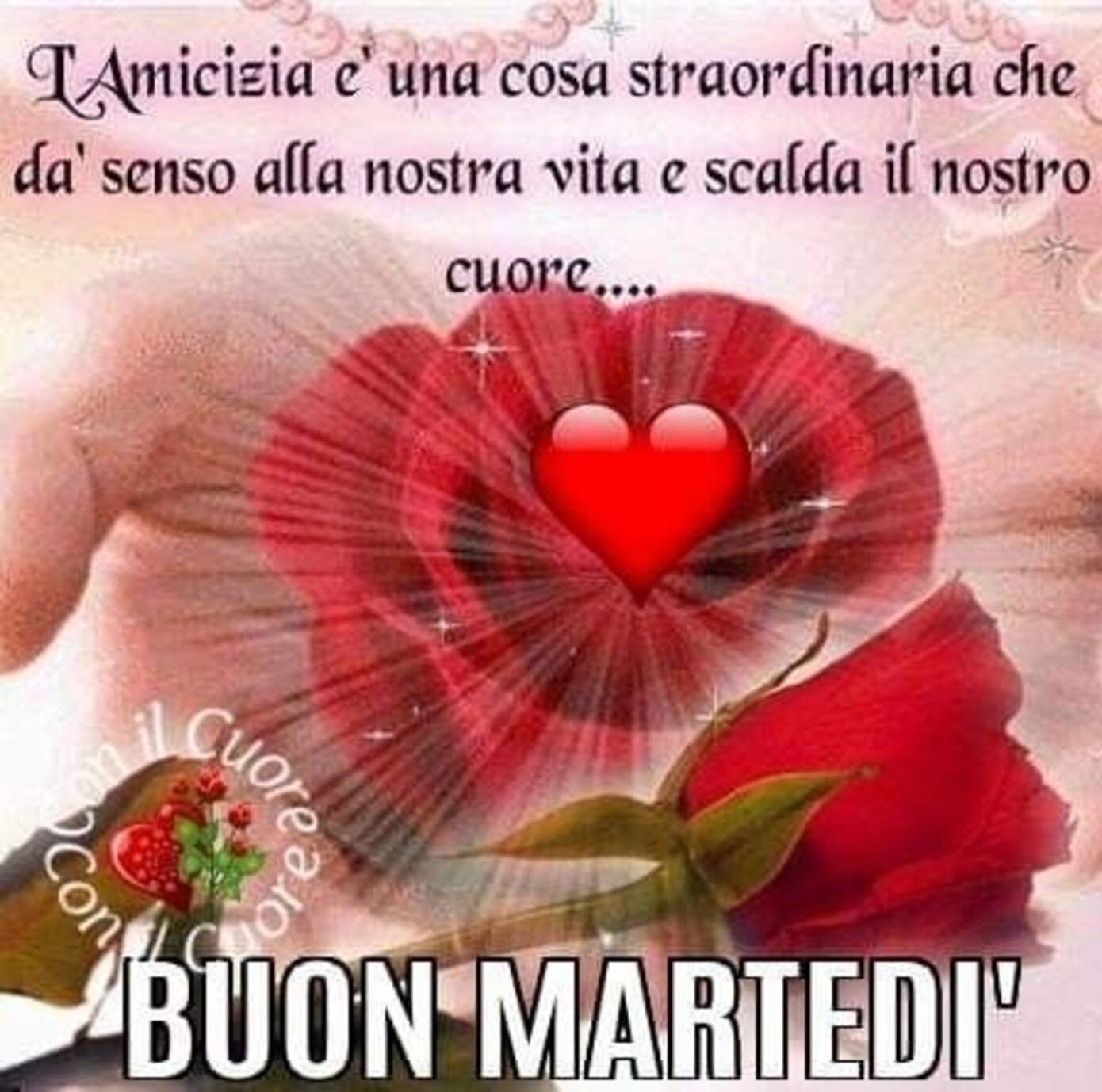 L'amicizia è una cosa straordinaria che dà senso alla nostra vita e scalda il nostro cuore... Buon Martedì