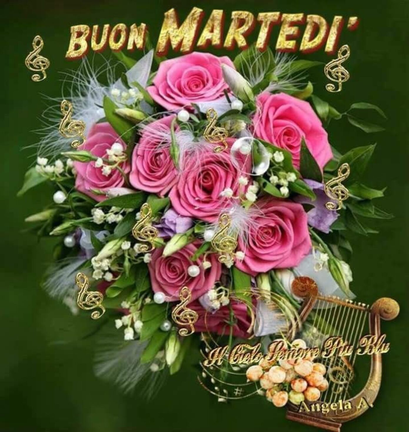 Buon Martedì