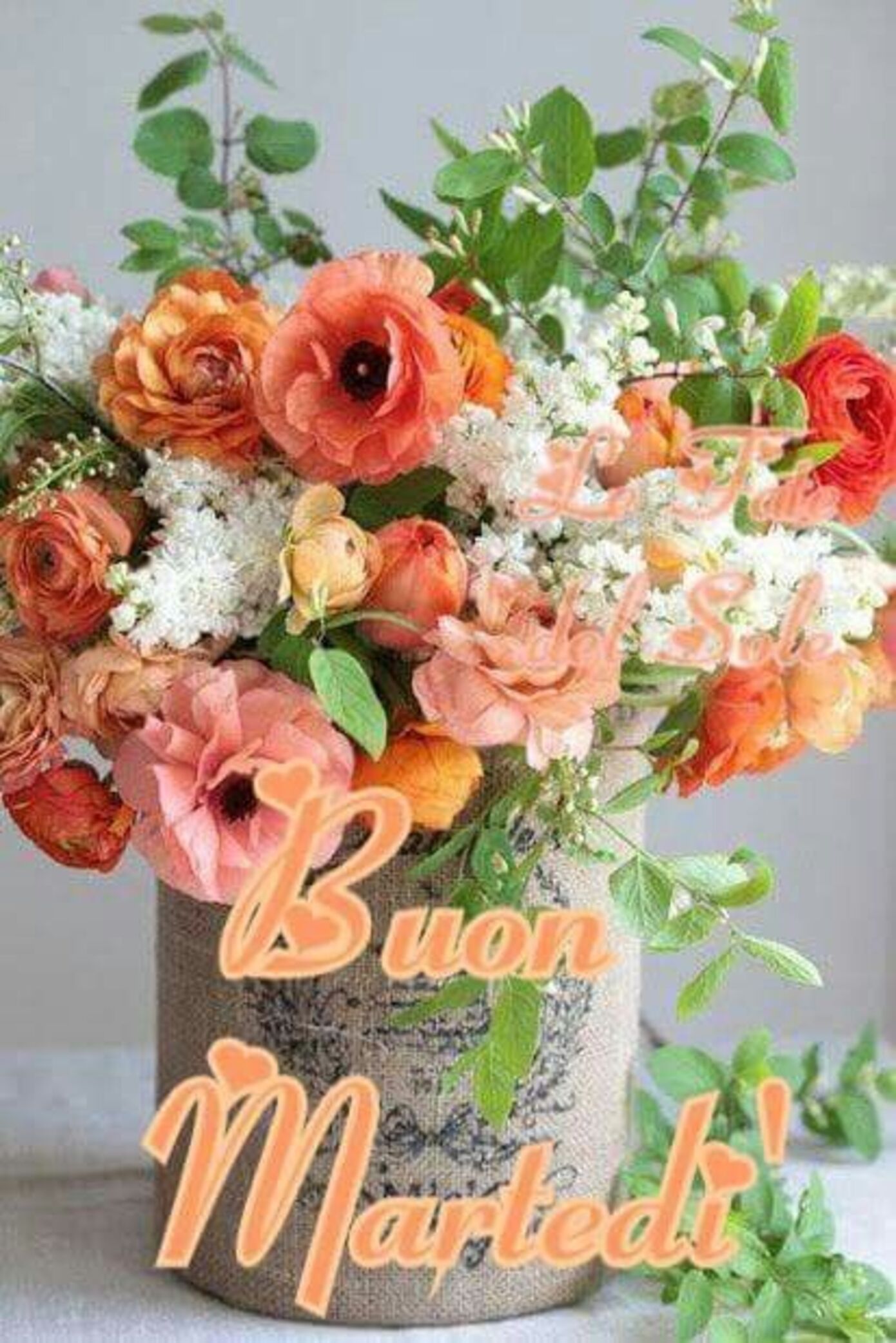 Buon Martedì