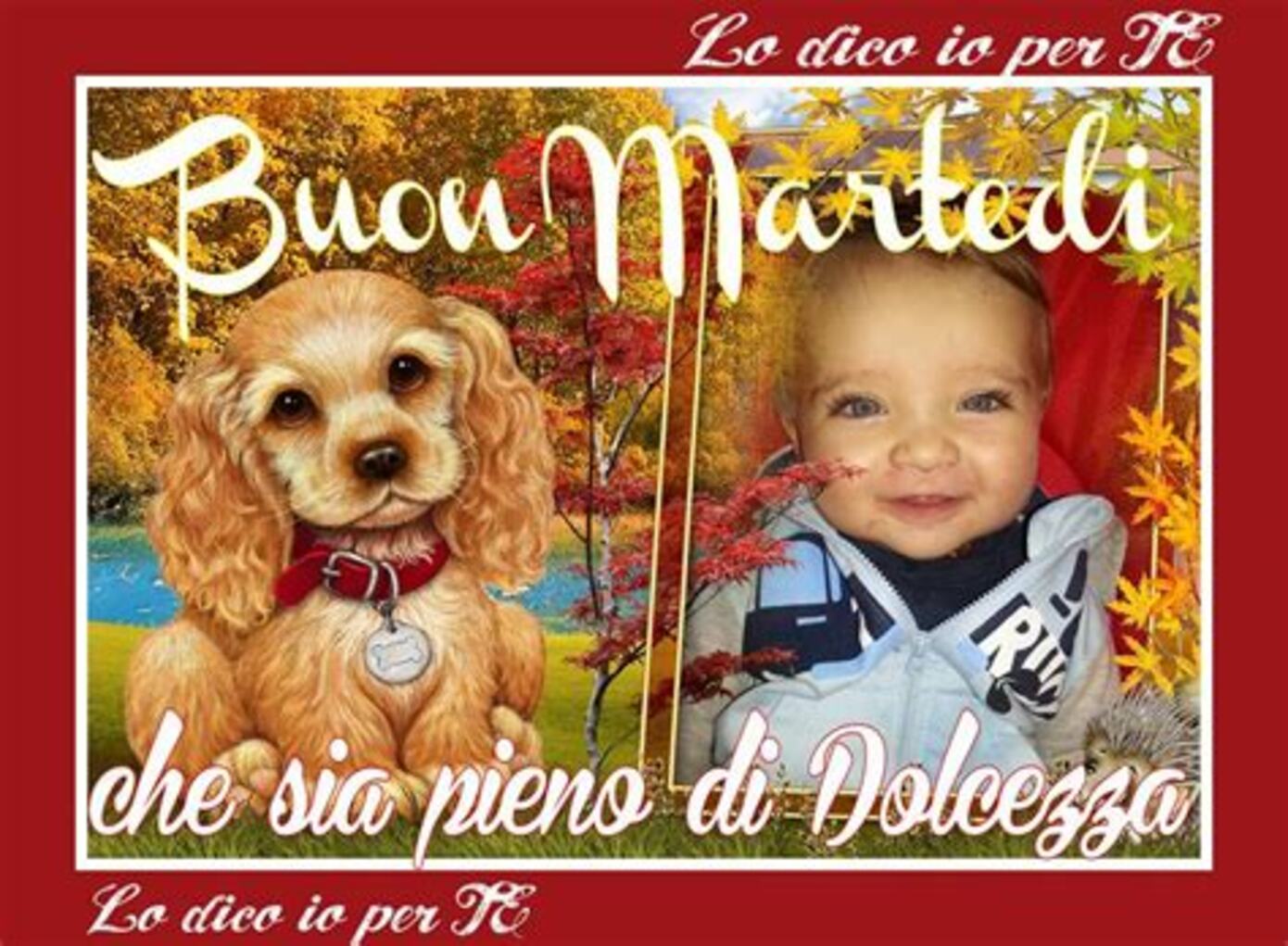 Buon Martedì Autunno