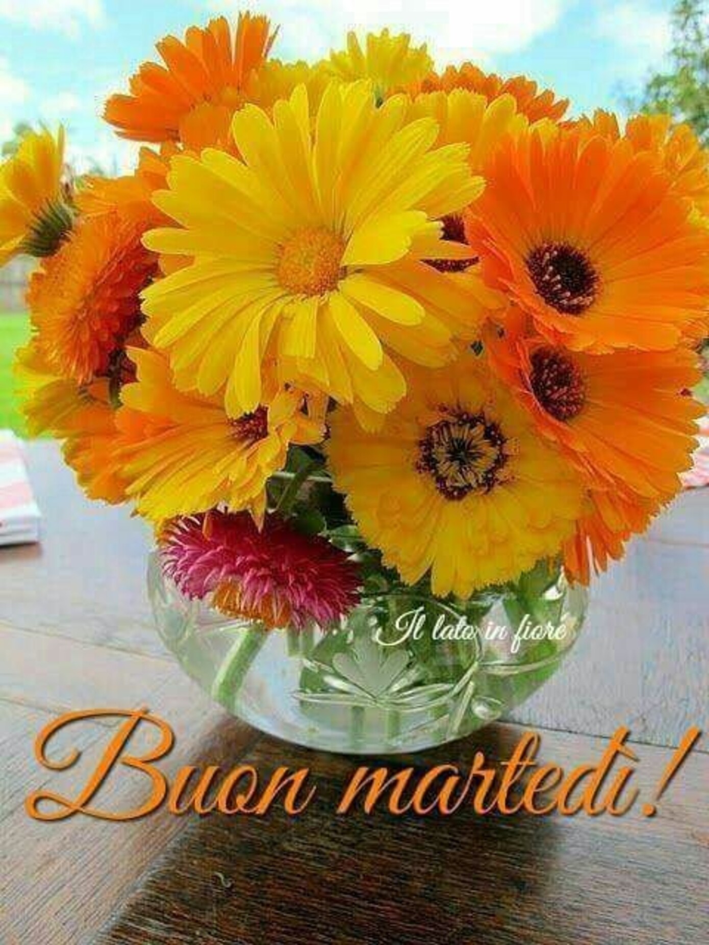 Buon Martedì fiori