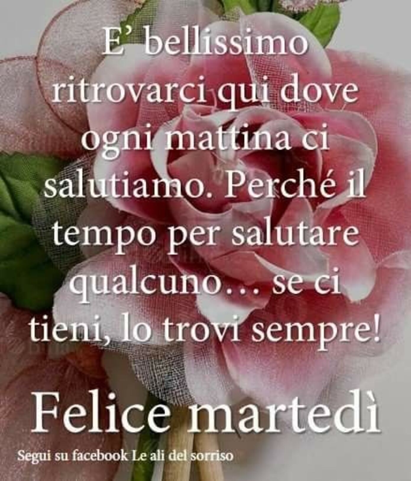 "E' bellissimo trovarci qui dove ogni mattina ci salutiamo..... Buon Martedì"