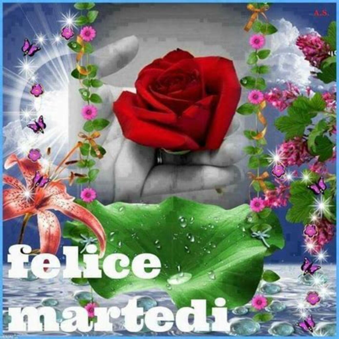 felice martedì