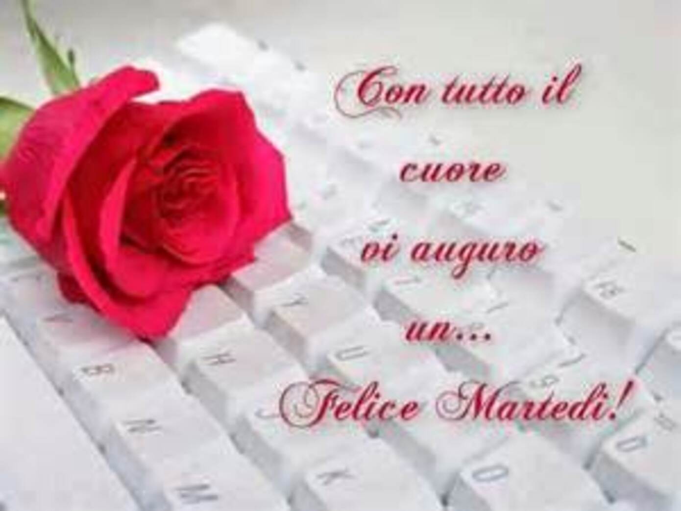 Con tutti il cuore vi auguro un... Felice Martedì!