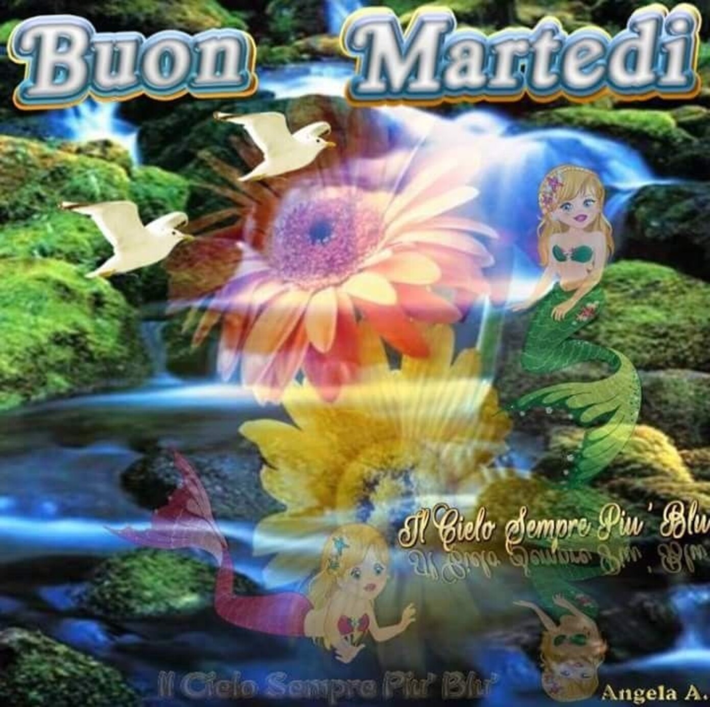 Buon Martedì