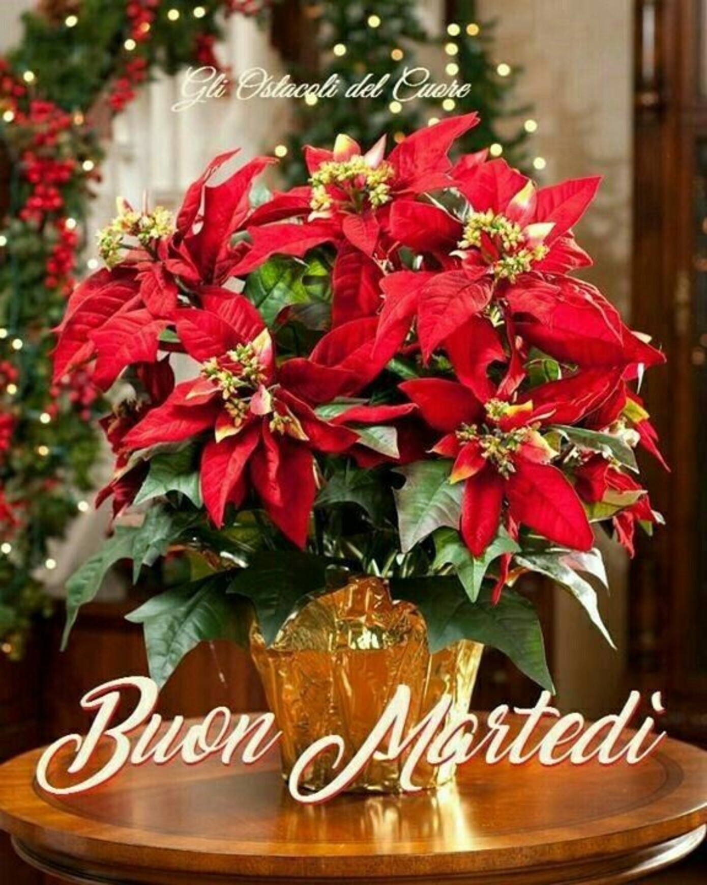 Buon Martedì x periodo natalizio