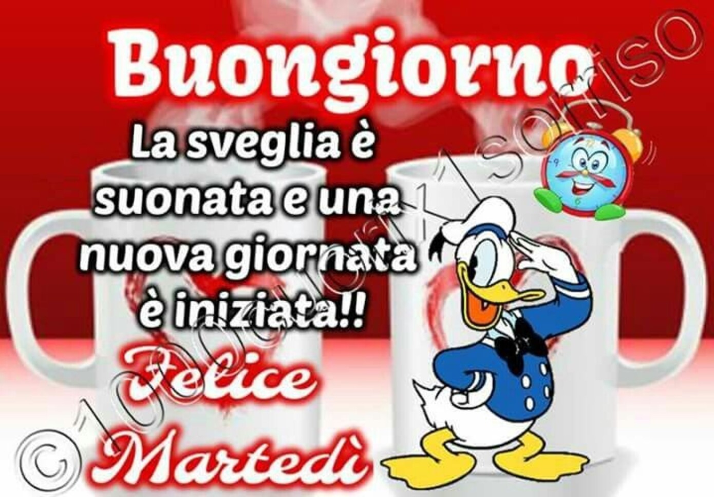 Buongiorno la sveglia è suonata e una nuova giornata è iniziata!! Buon Martedì