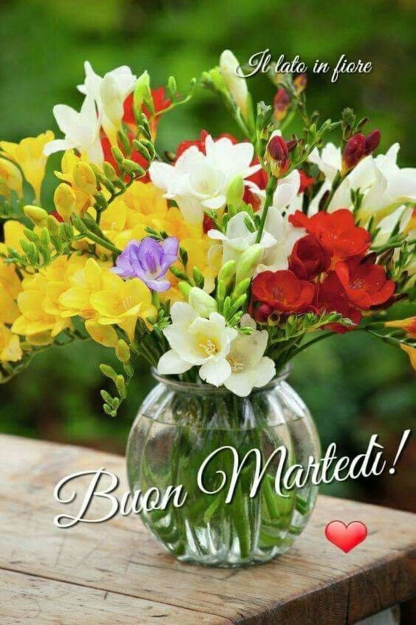 Buon Martedì !