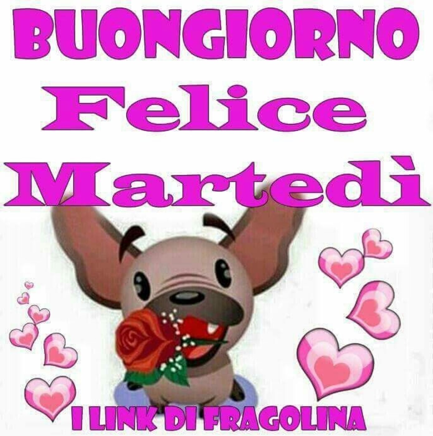 Buongiorno Felice Martedì