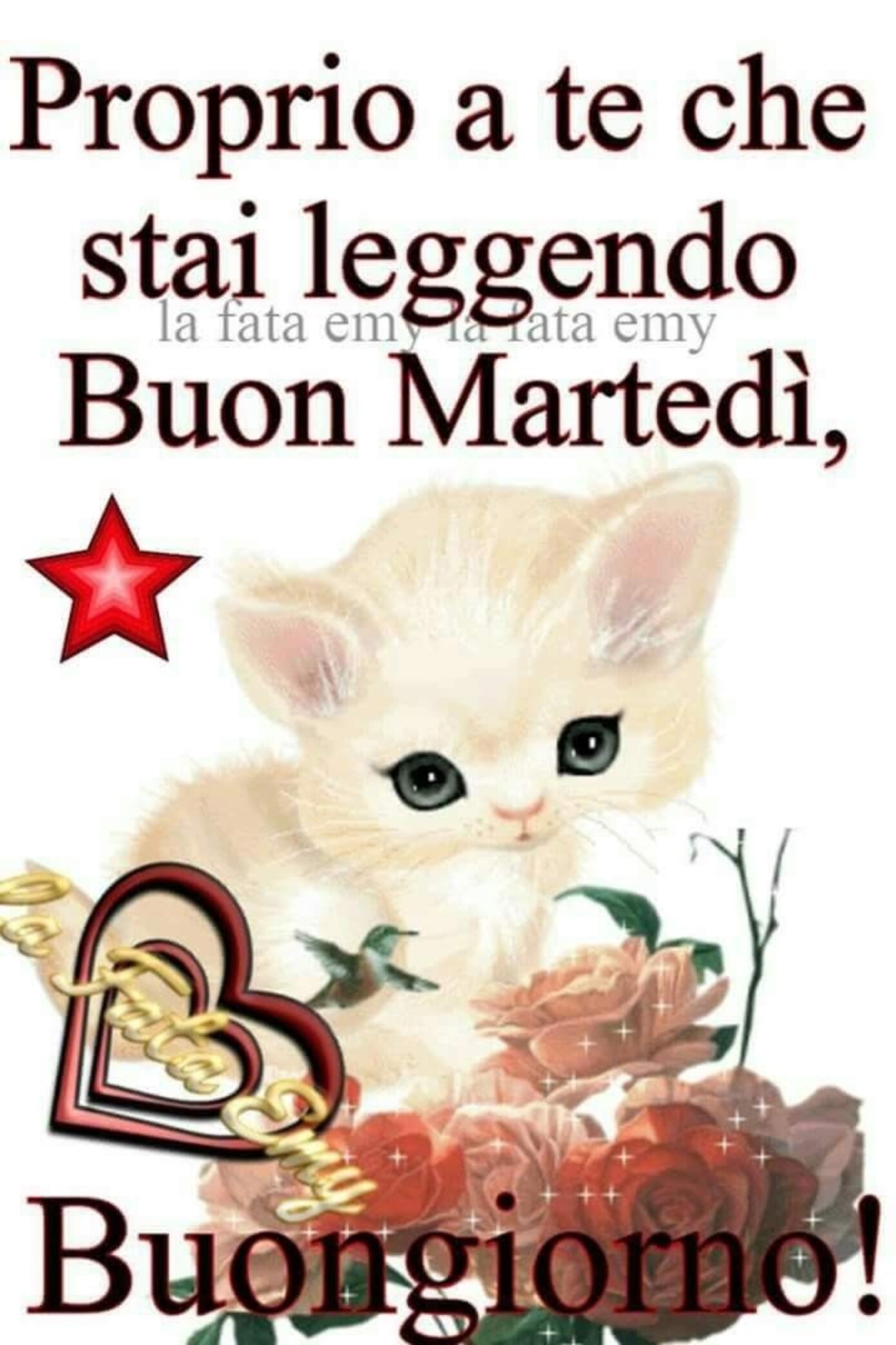 Proprio a te che stai leggendo... Buon Martedì, Buongiorno!