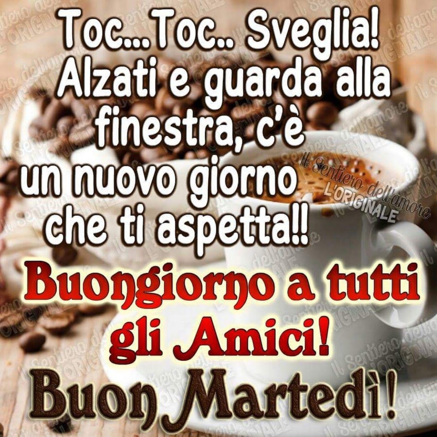 Toc Toc sveglia! Alzati e guarda dalla finestra: c'è un nuovo giorno che ti aspetta! Buongiorno a tutti gli amici Buon Martedì