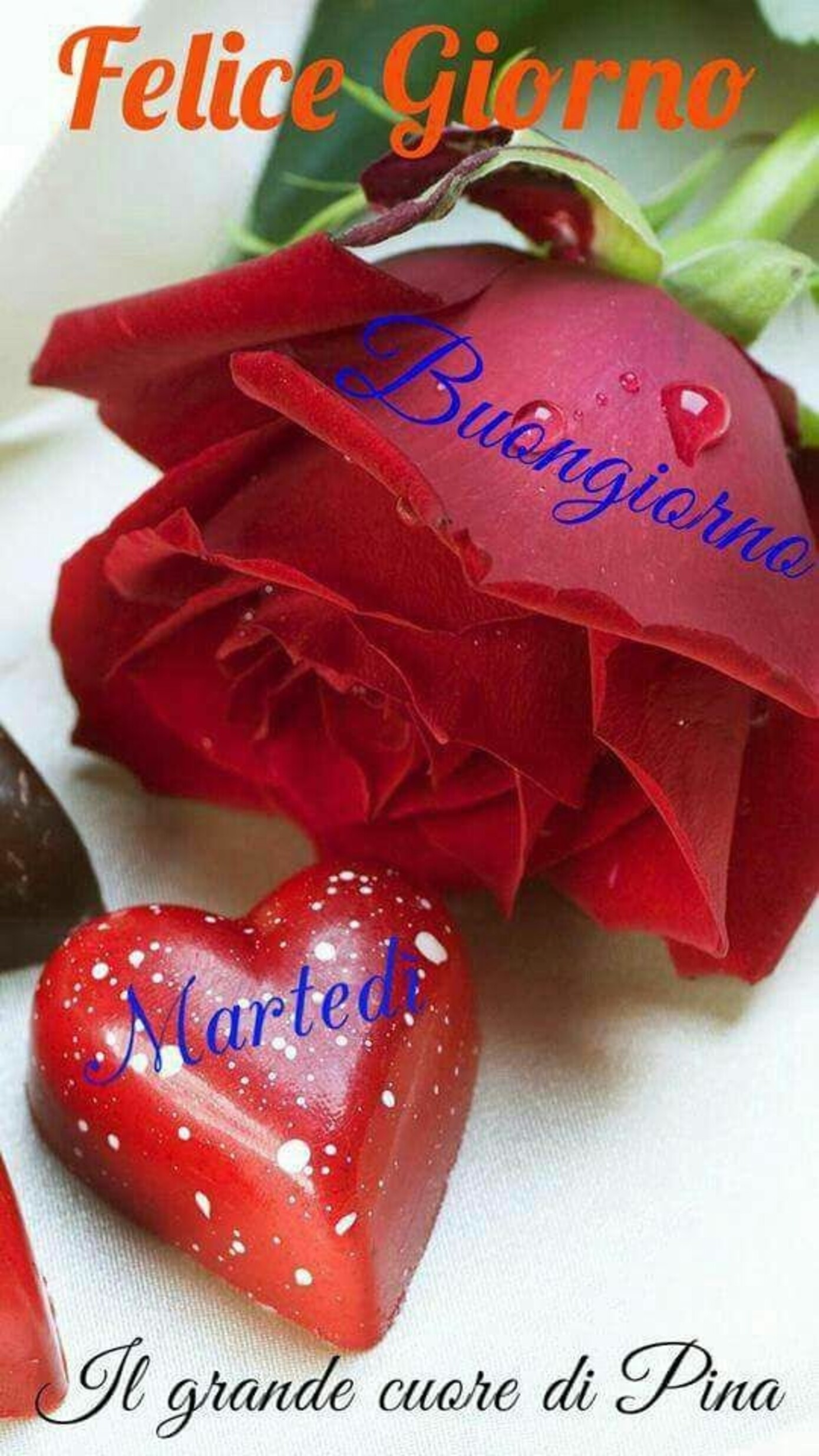 Felice Giorno Buongiorno Martedì