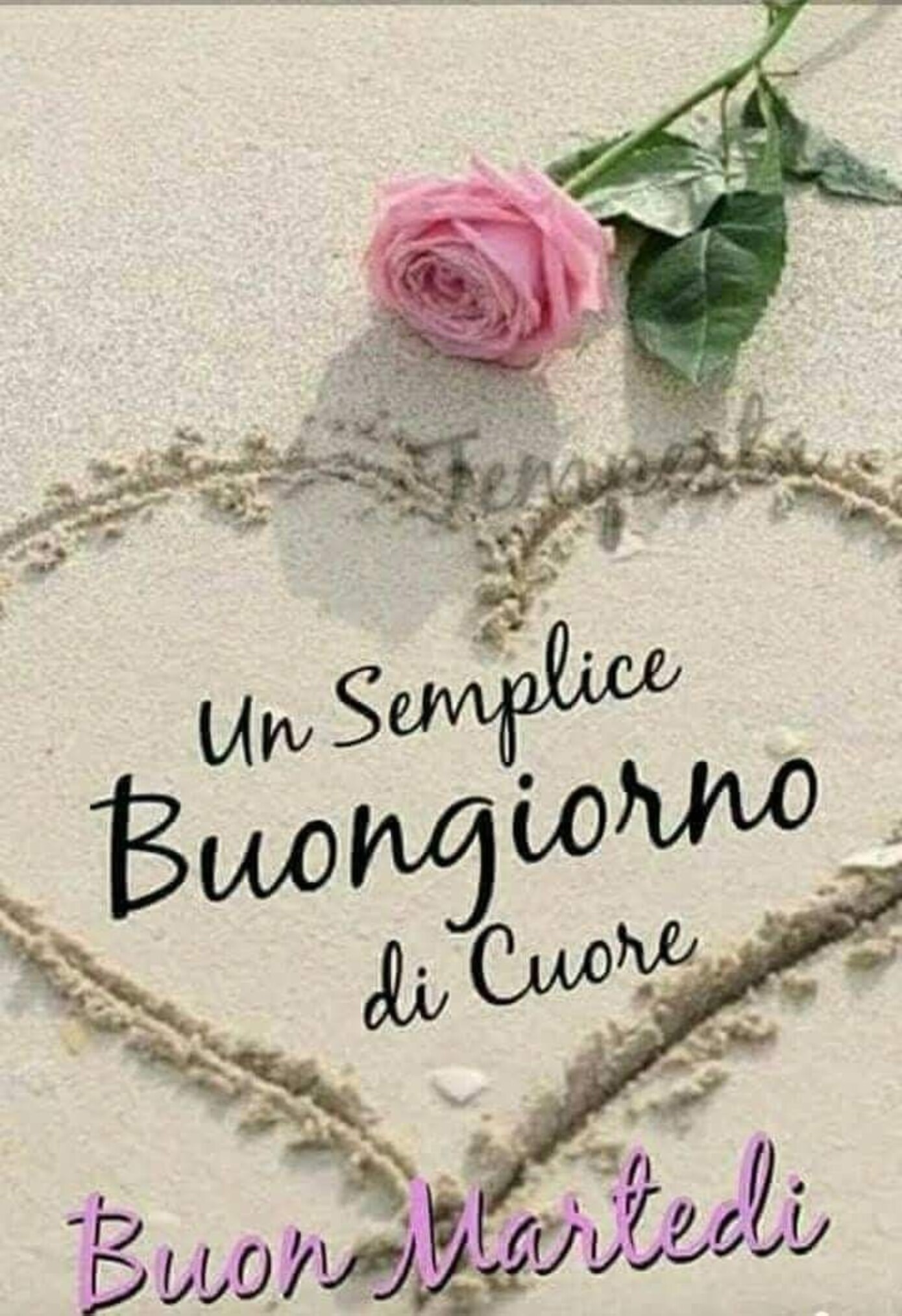 Un semplice buongiorno di cuore Buon Martedì