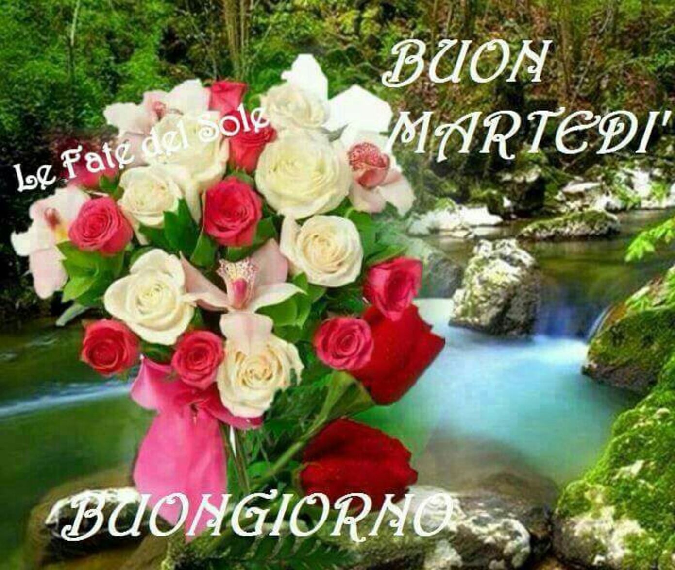 Buon Martedì Buongiorno