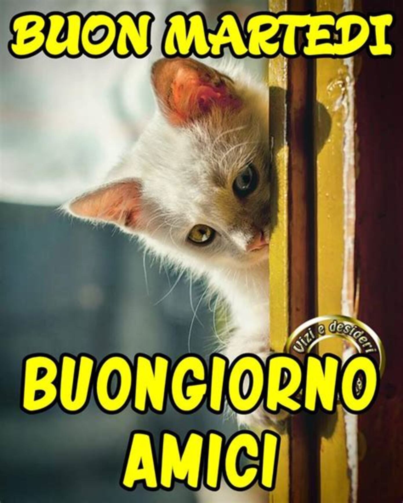 Buon Martedì Buongiorno Amici