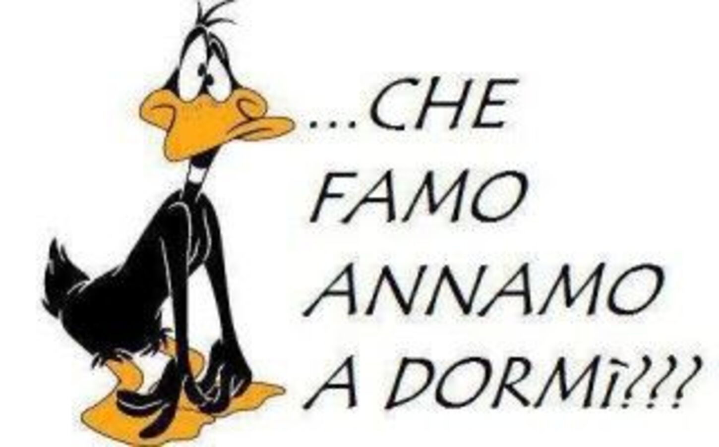 ... CHE FAMO ANNAMO A DORMI' ??