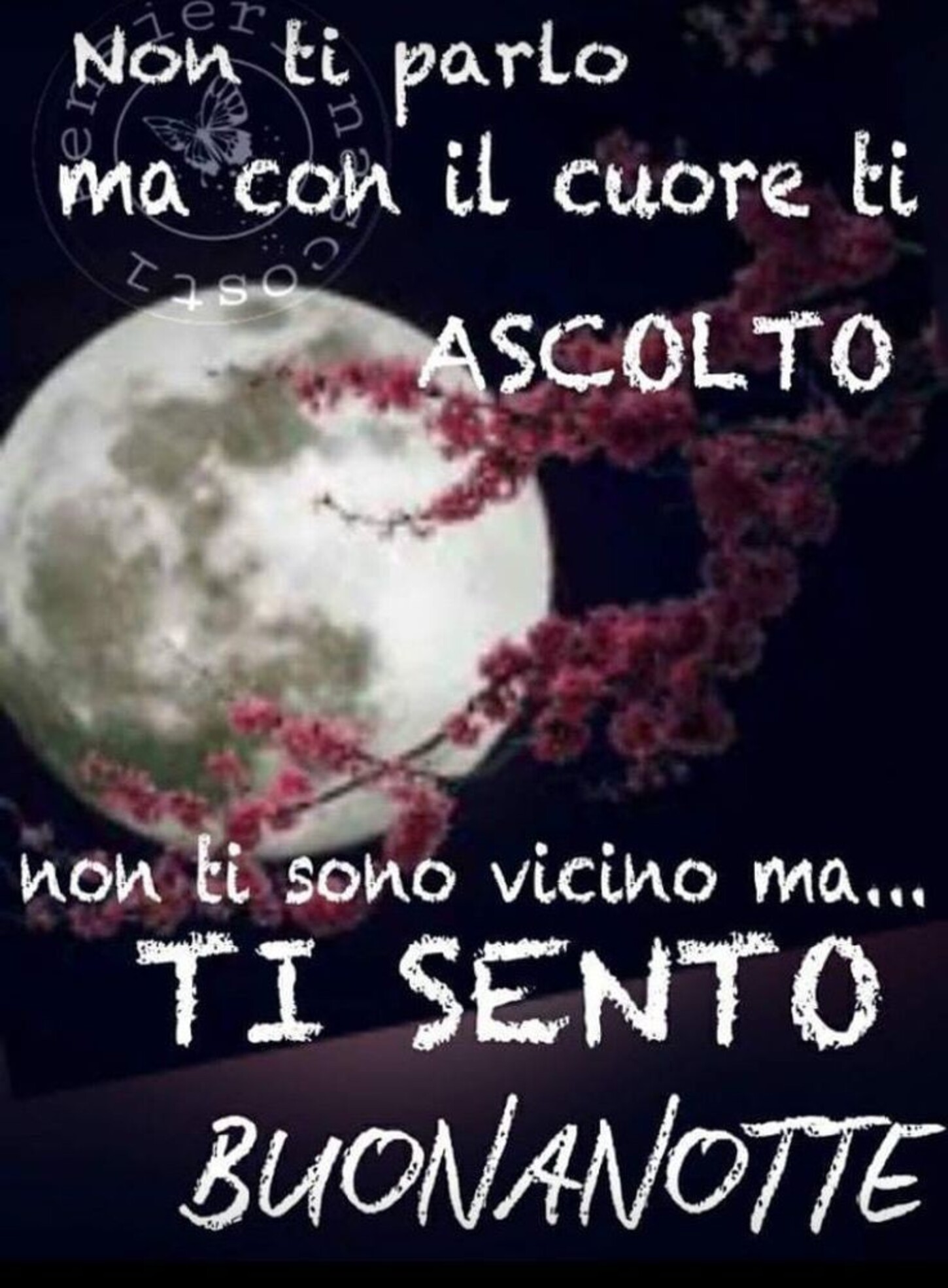 Non ti parlo ma con il cuore ti ASCOLTO... non ti sono vicino ma... TI SENTO... BUONANOTTE