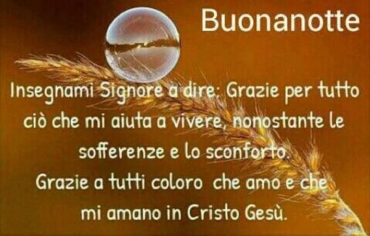 Buonanotte insegnami Signore a dire: Grazie per tutto..."