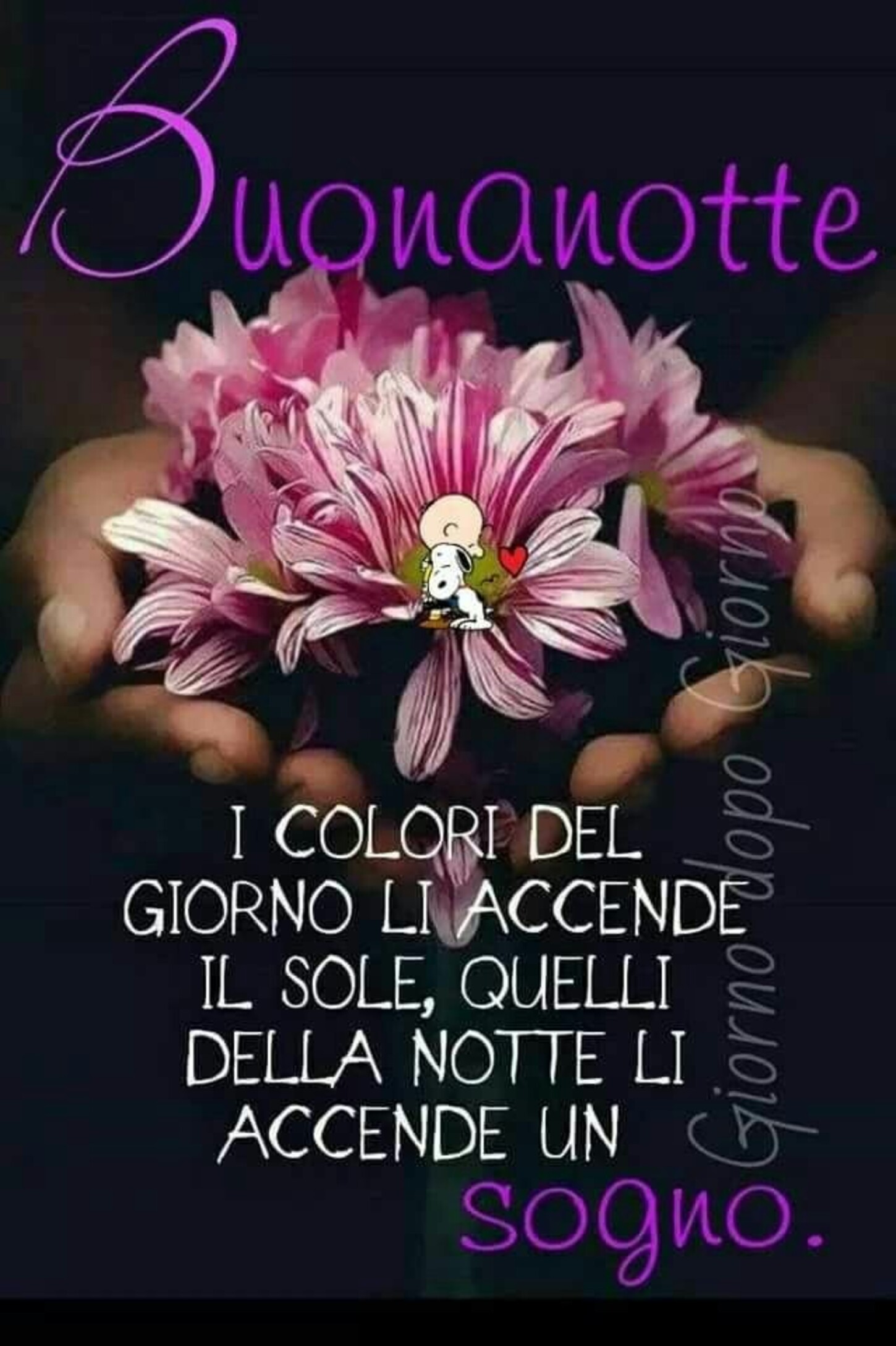 Buonanotte i colori del giorno li accende il sole, quelli della notte li accende un sogno.