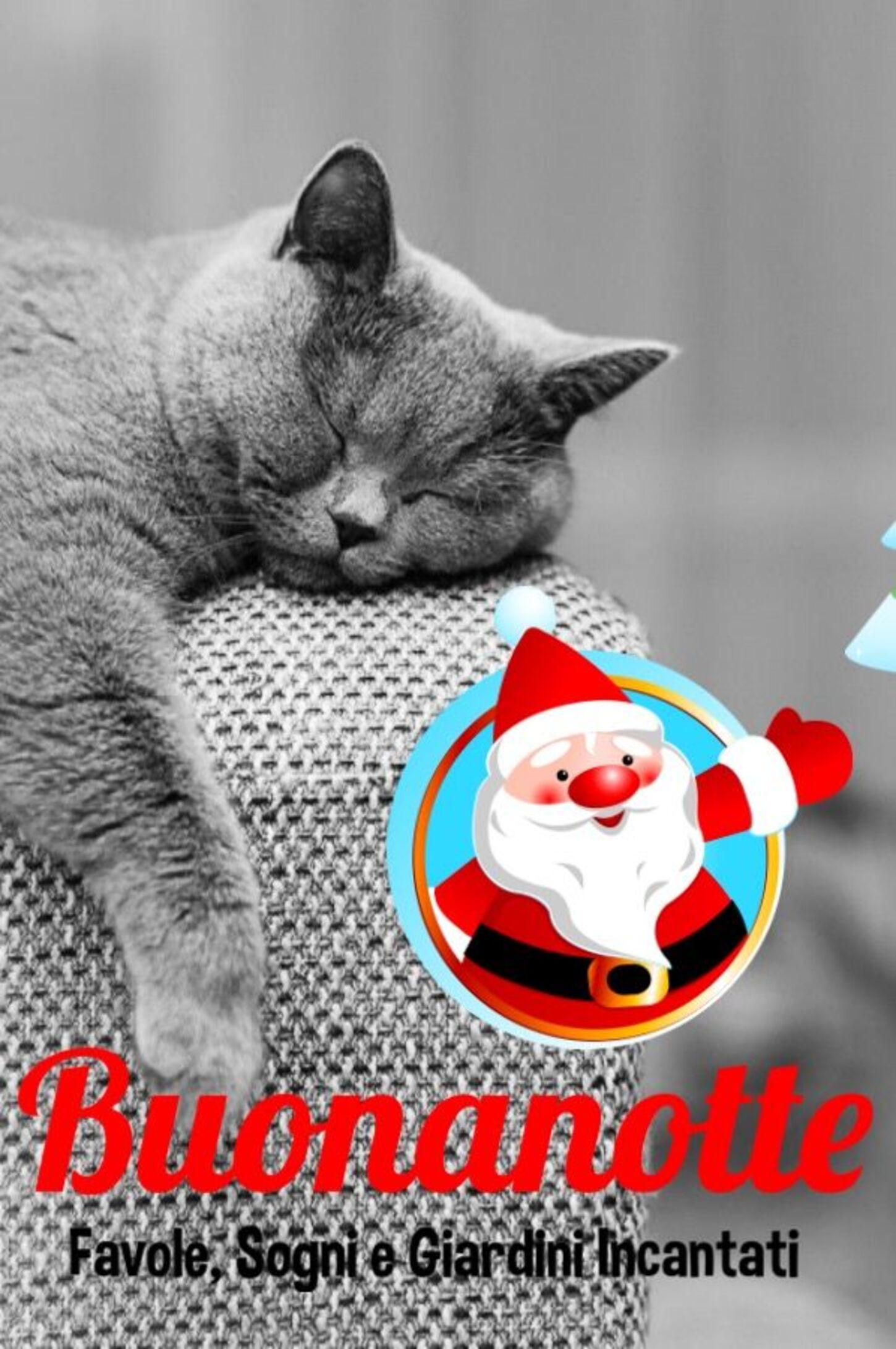 Buonanotte con Babbo Natale