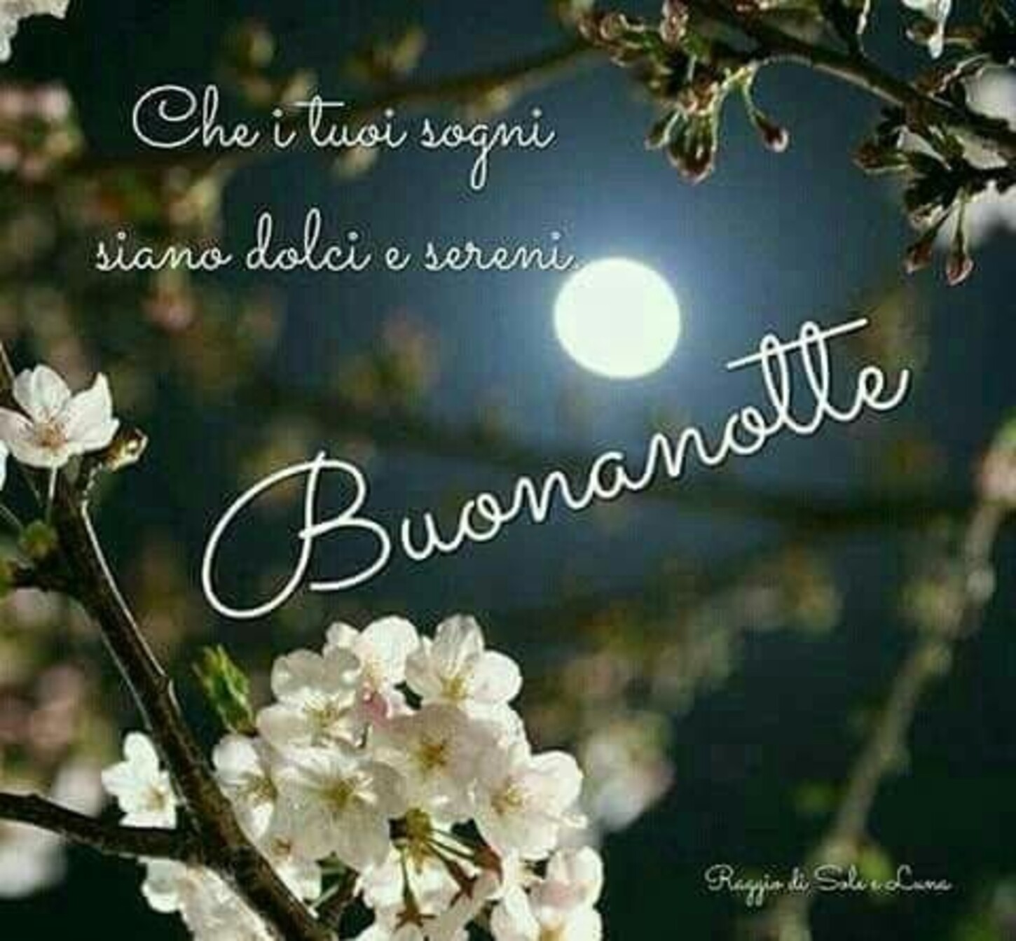 Che i tuoi sogni siano dolci e sereni, Buonanotte