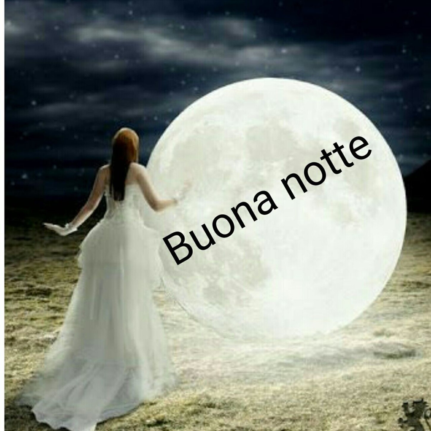 Buona notte luna