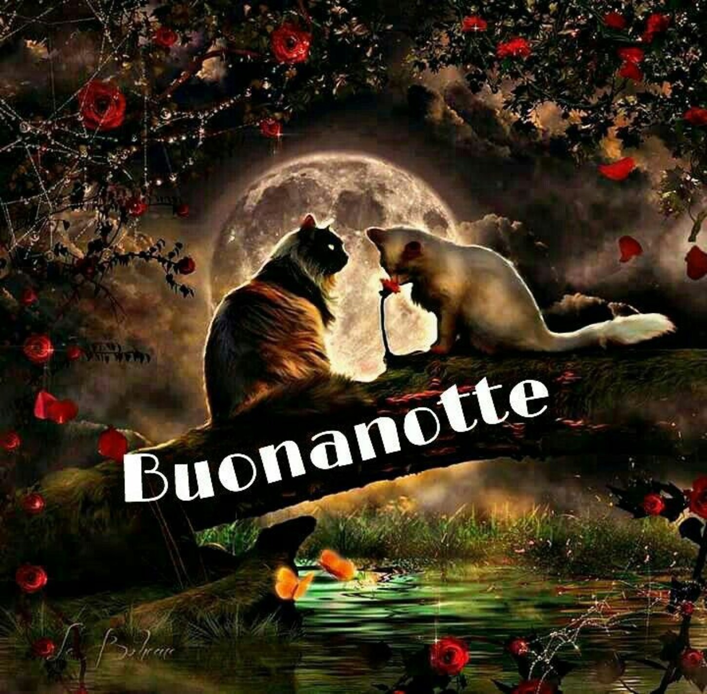 Buonanotte con i gatti