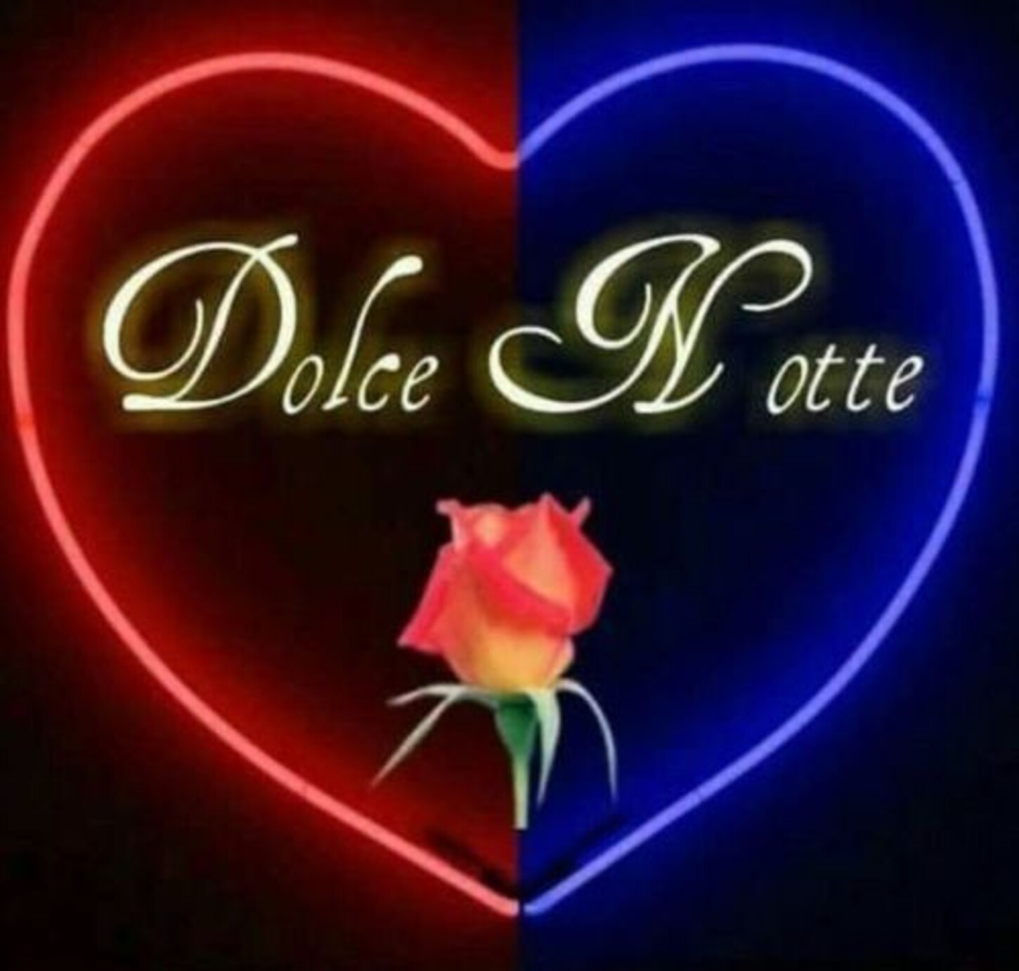 Dolce Notte Amore