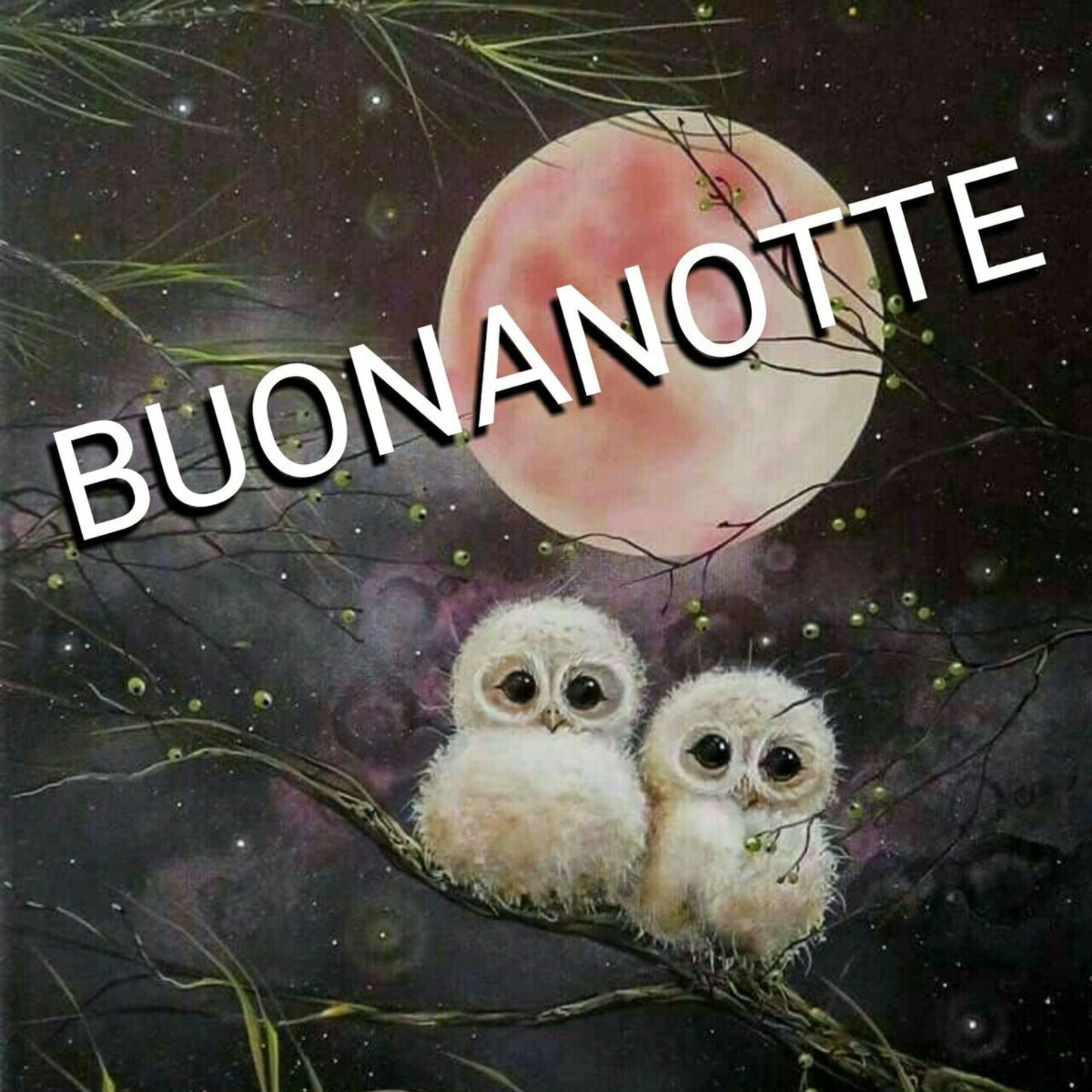 BUONANOTTE