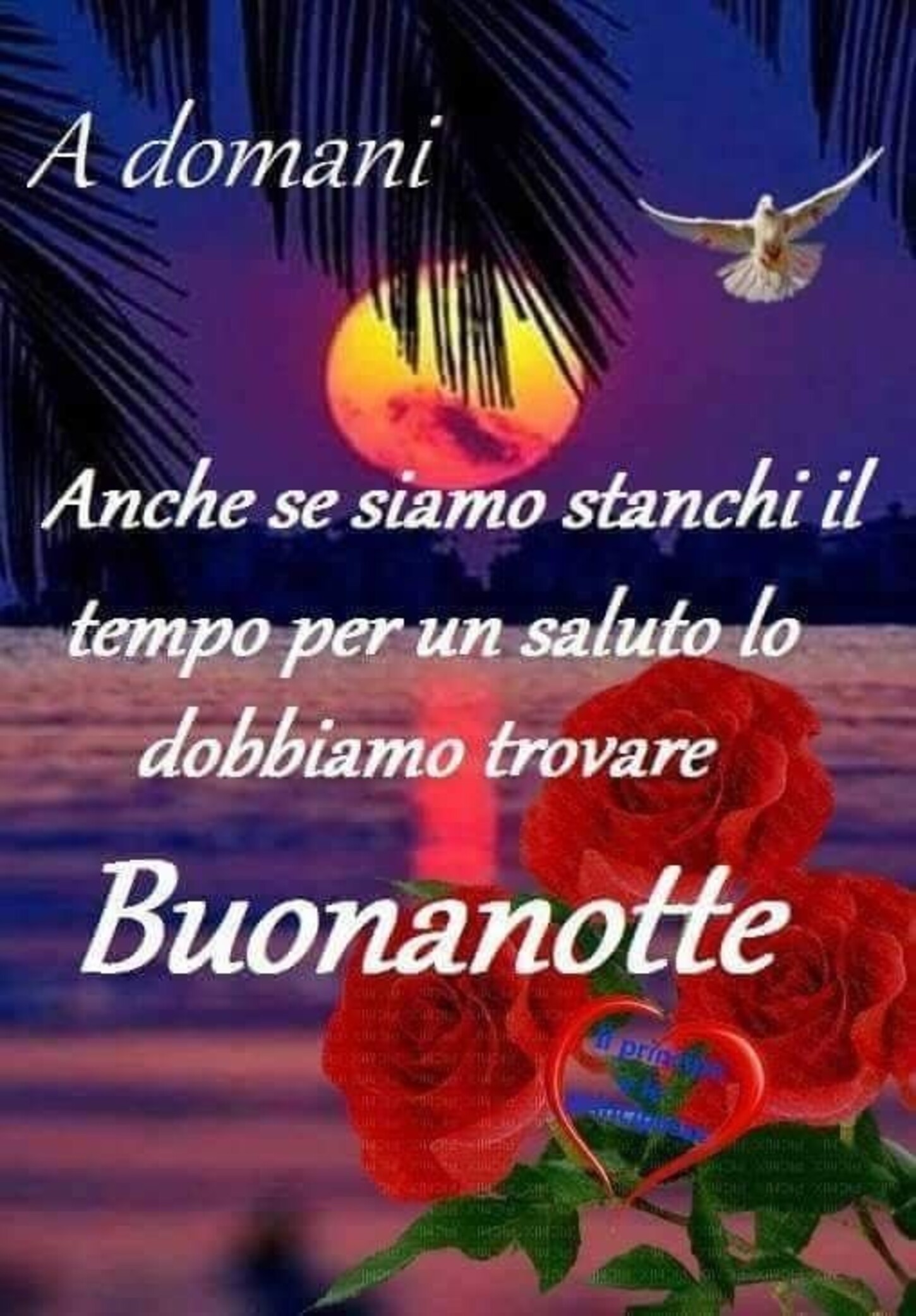 A domani, anche se siamo stanchi il tempo per un saluto lo dobbiamo trovare, Buonanotte