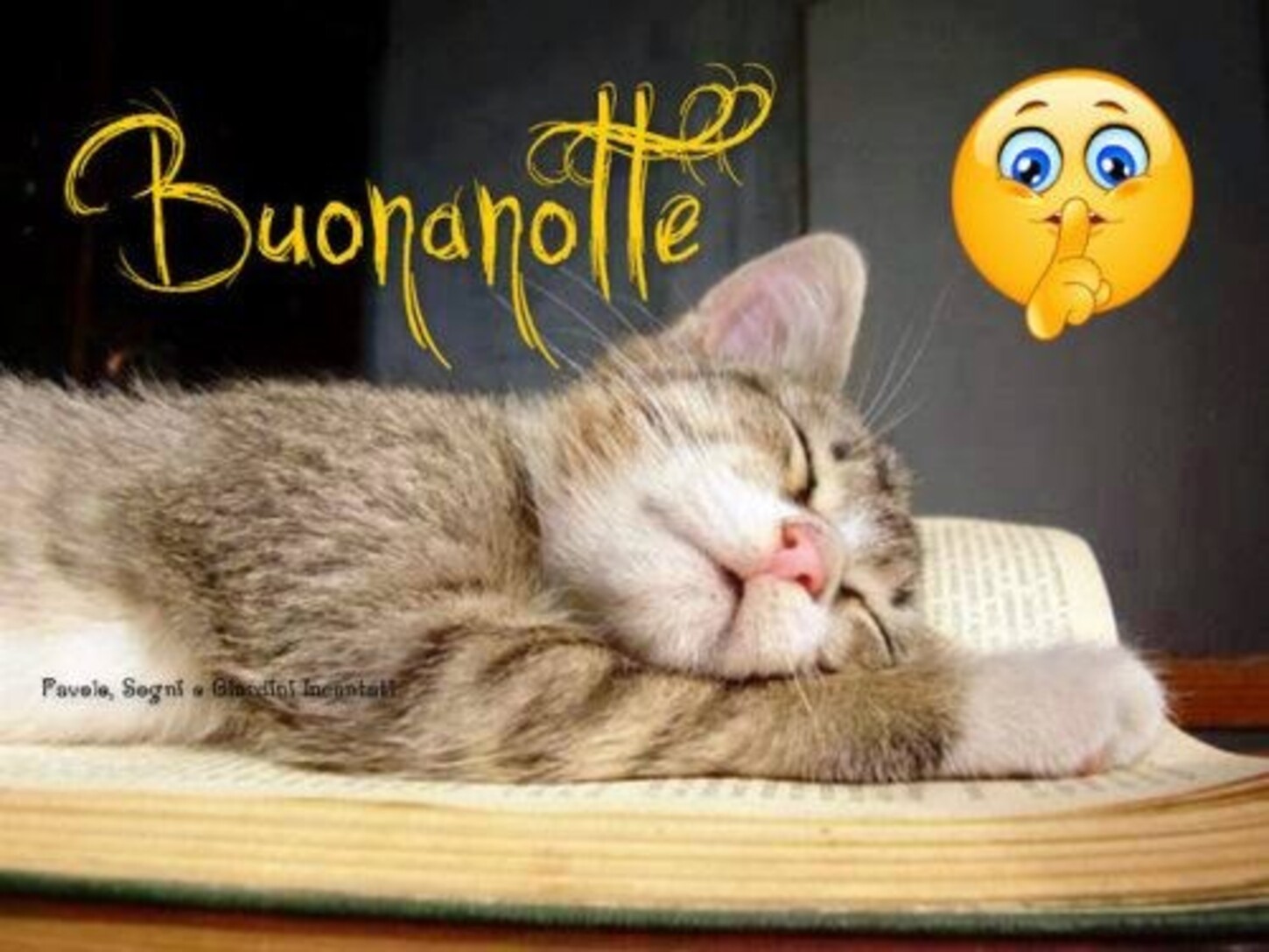 Buonanotte col micio