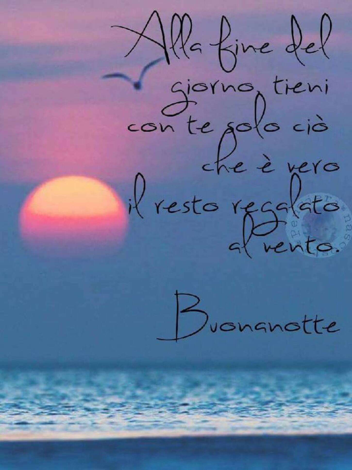 Alla fine del giorno tieni con te solo ciò che è vero, il resto regalalo al vento. Buonanotte